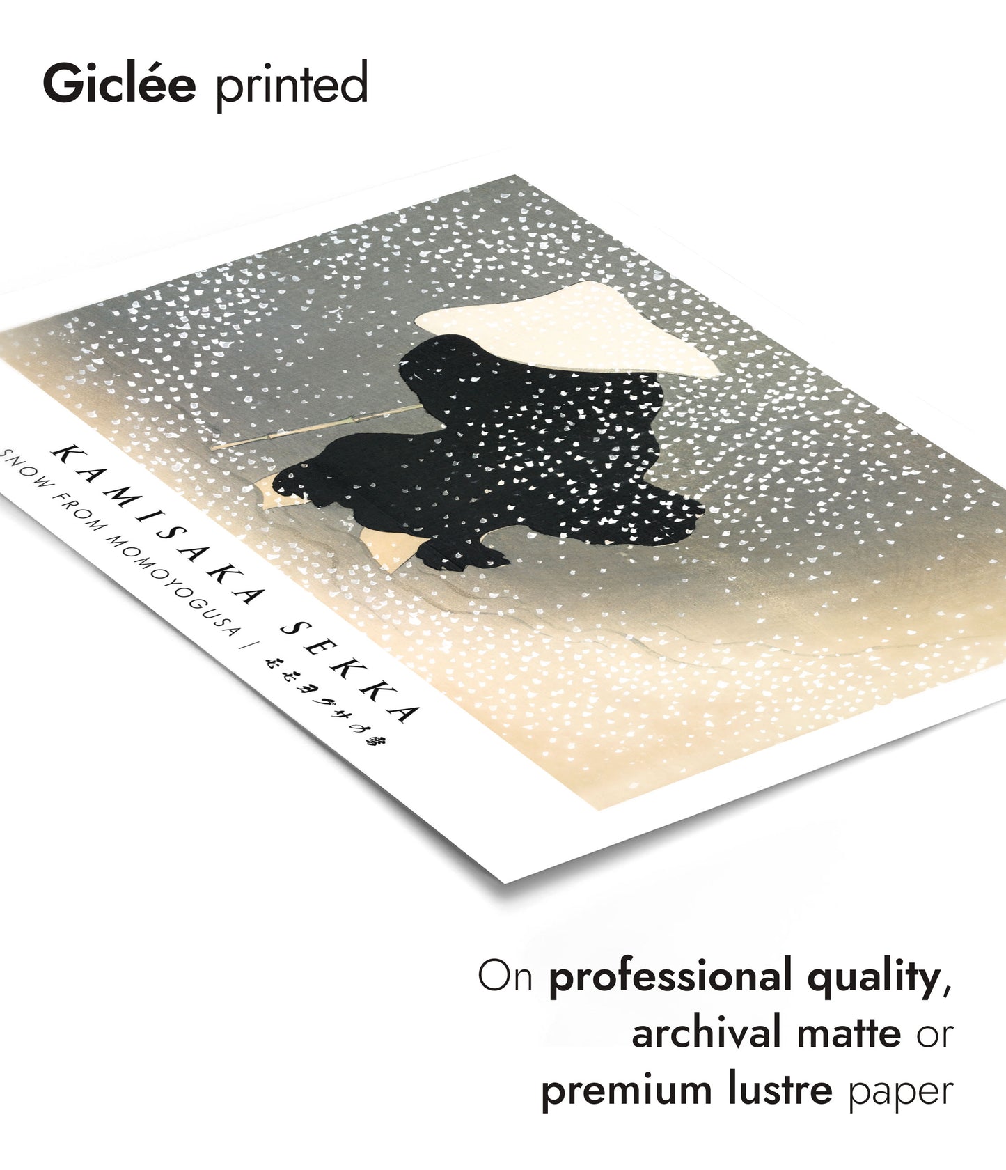 Snow from Momoyogusa