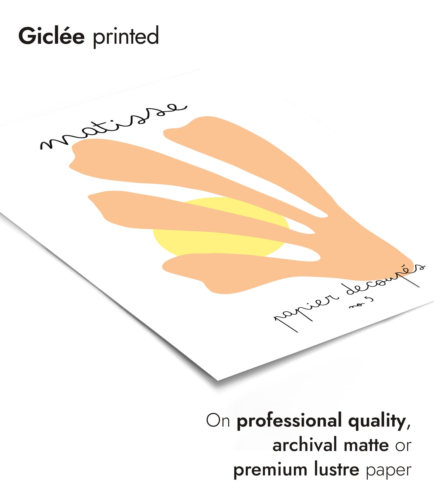 Matisse Collagen Nr. 5