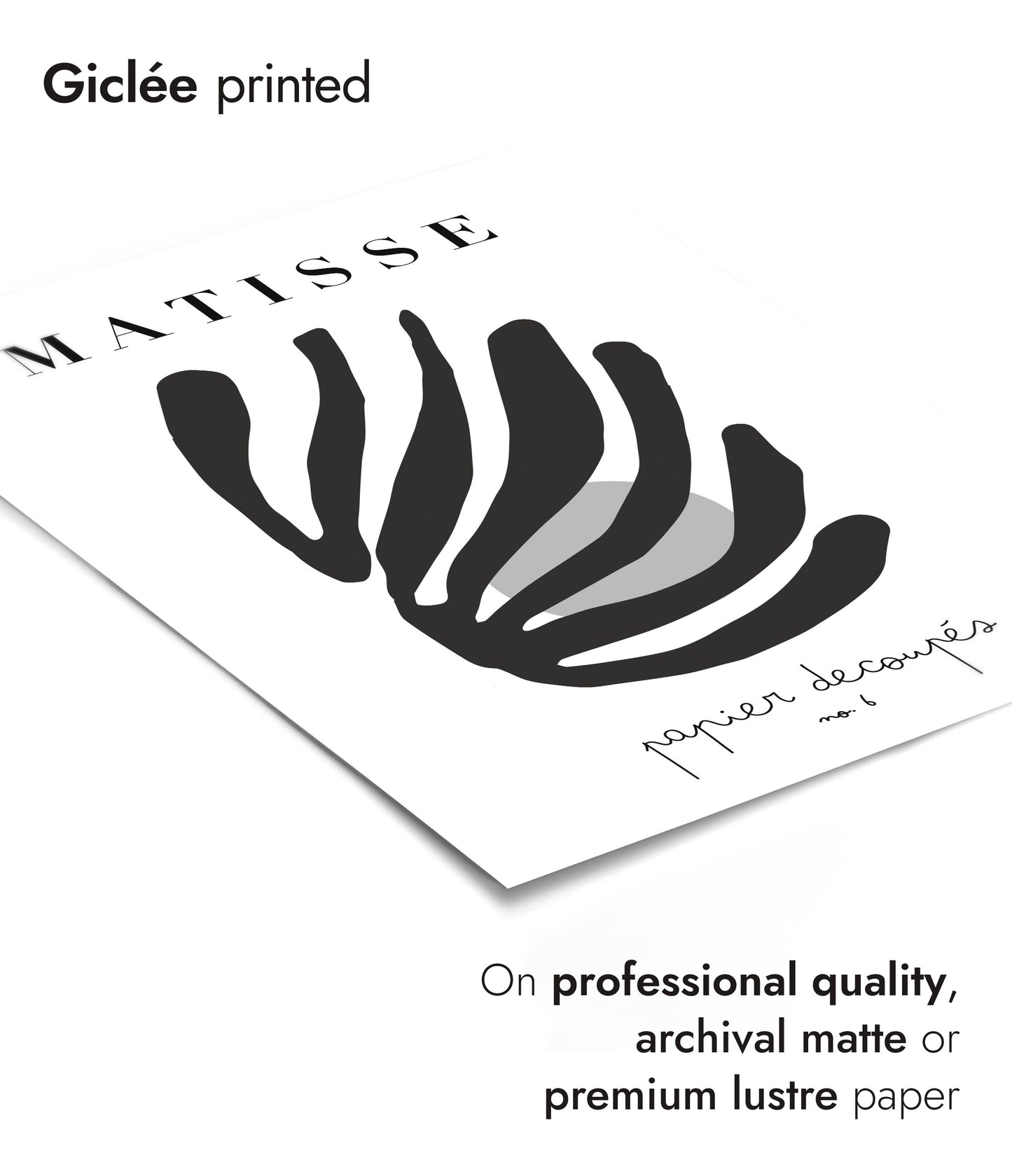 Découpages de Matisse n° 6 Noir et Blanc