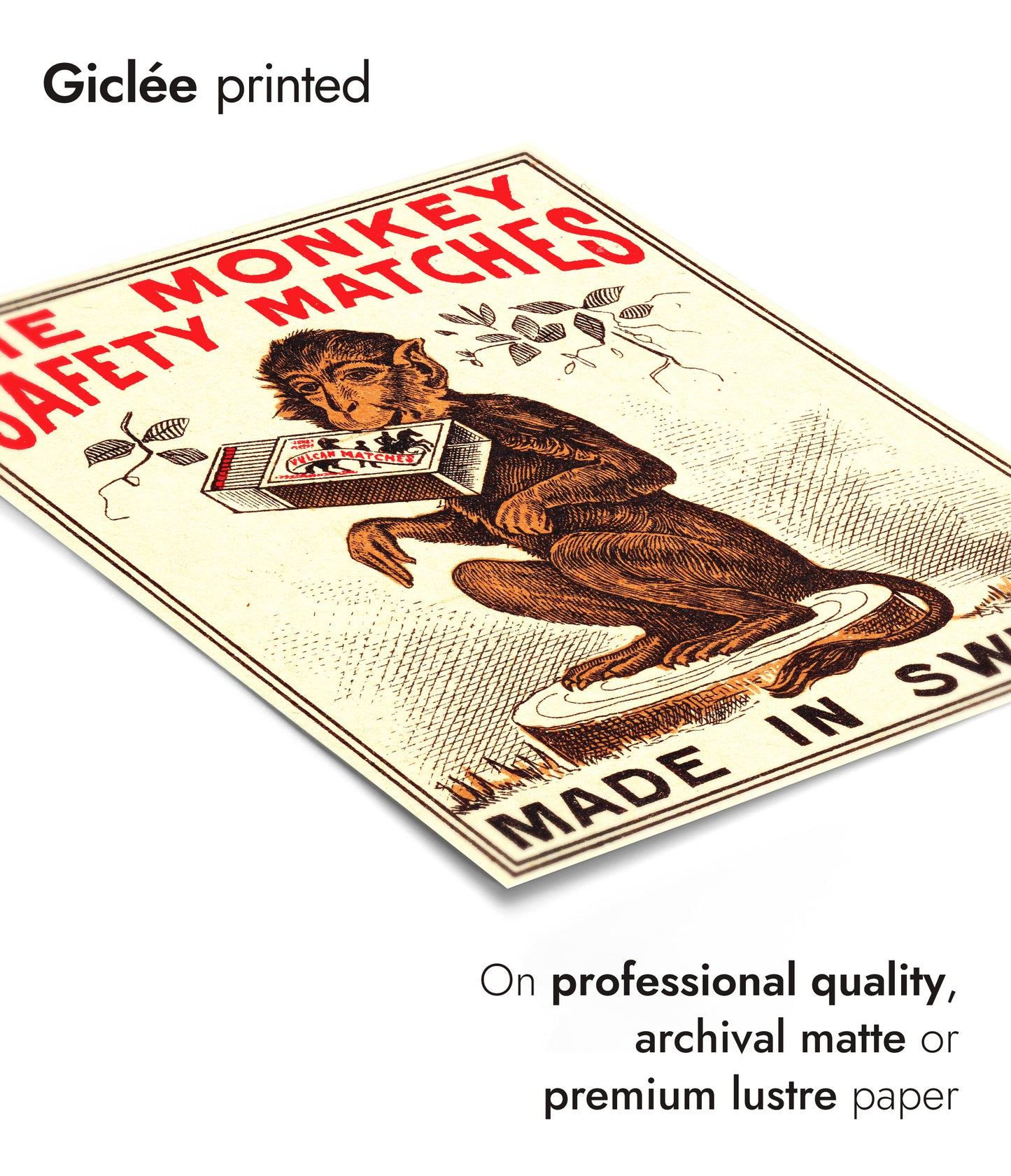 Allumettes de sécurité Monkey