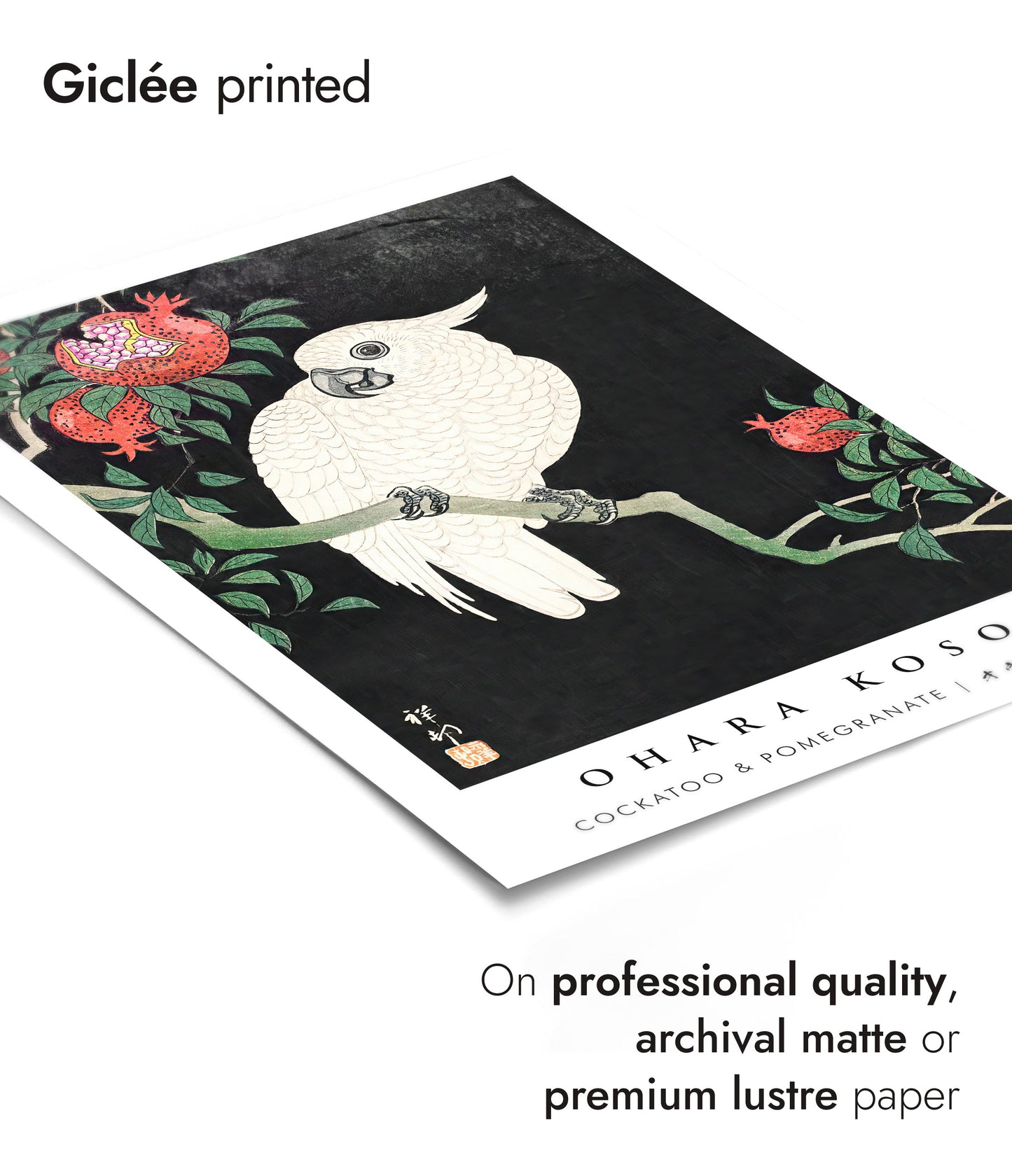 Kaketoe & Granaatappel