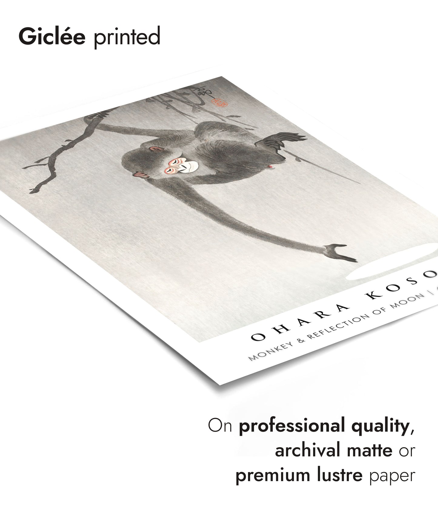 Singe et reflet de la lune