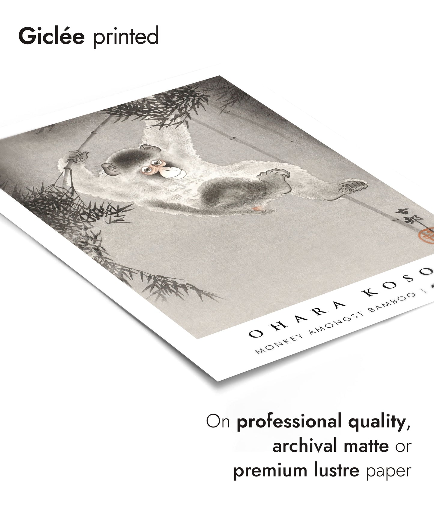 Singe parmi les bambous