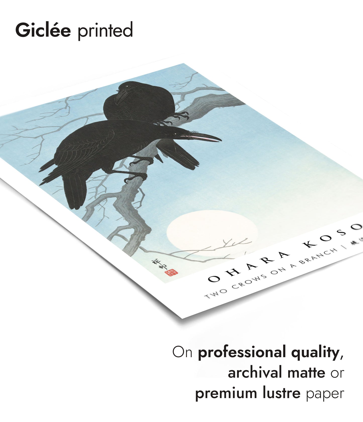 Zwei Krähen auf einem Ast