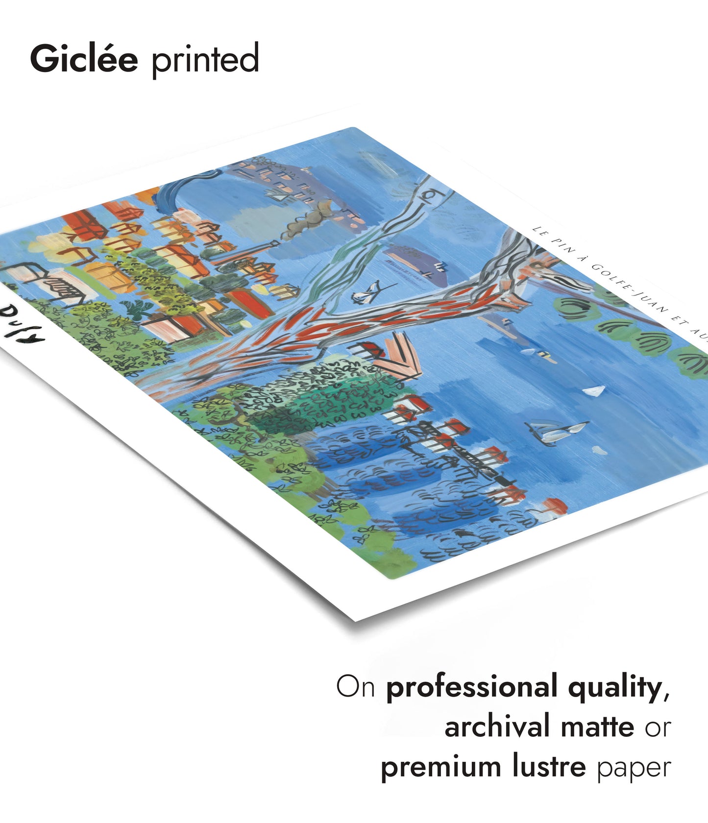 Le Pin à Golfe-Juan et aux Voiliers