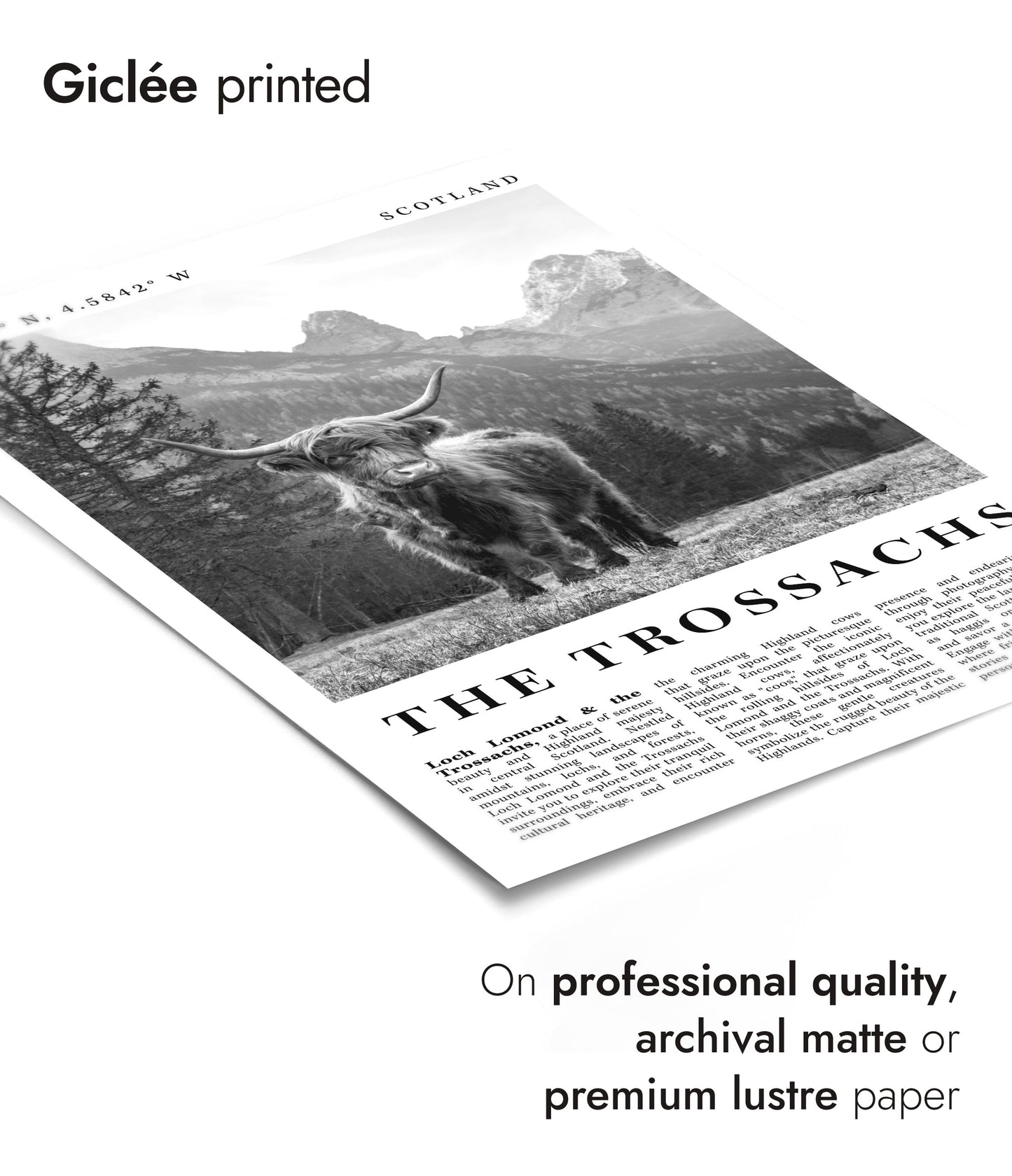 The Trossachs - Scotland