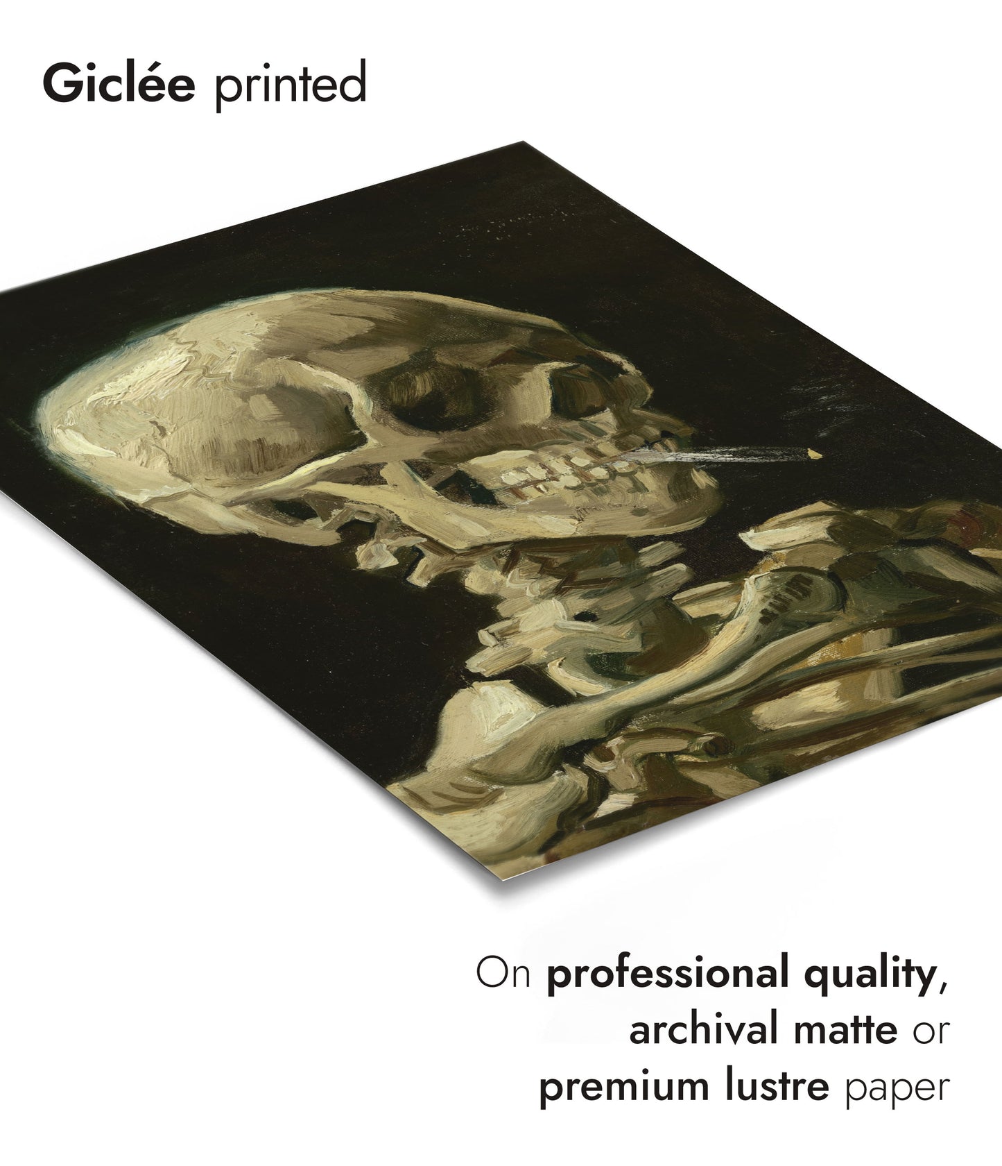 Skull of a Skeleton with Burning Cigarette