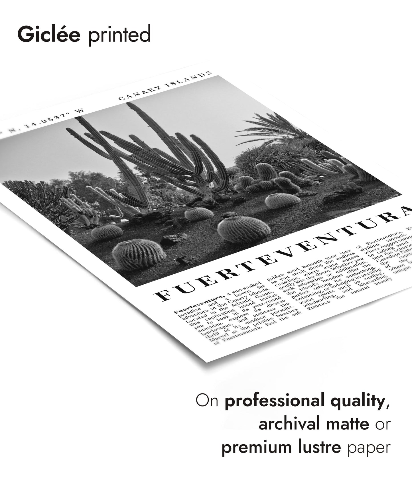 Fuerteventura - Spanien