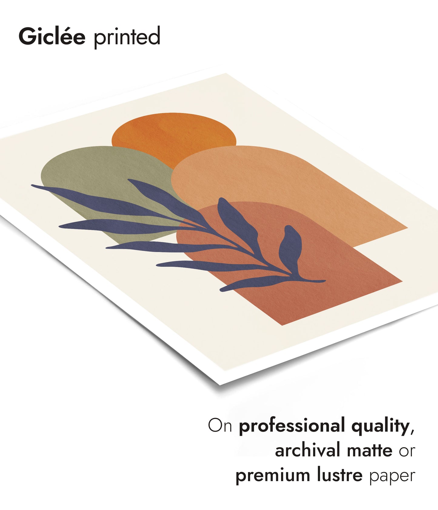 Zonnestralen op ramen