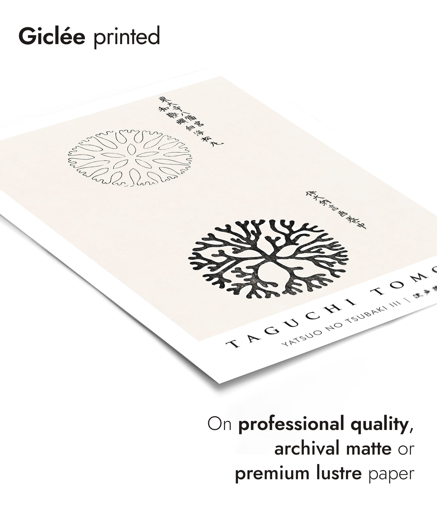 Yatsuo no Tsubaki III