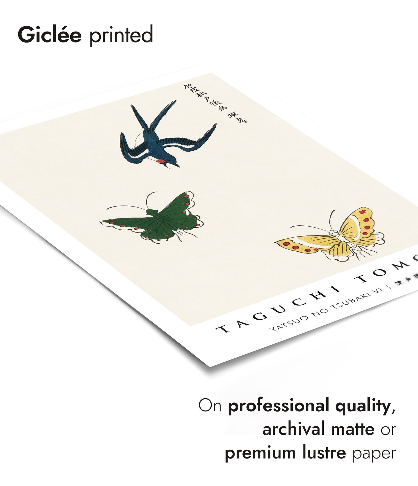 Yatsuo no Tsubaki VI