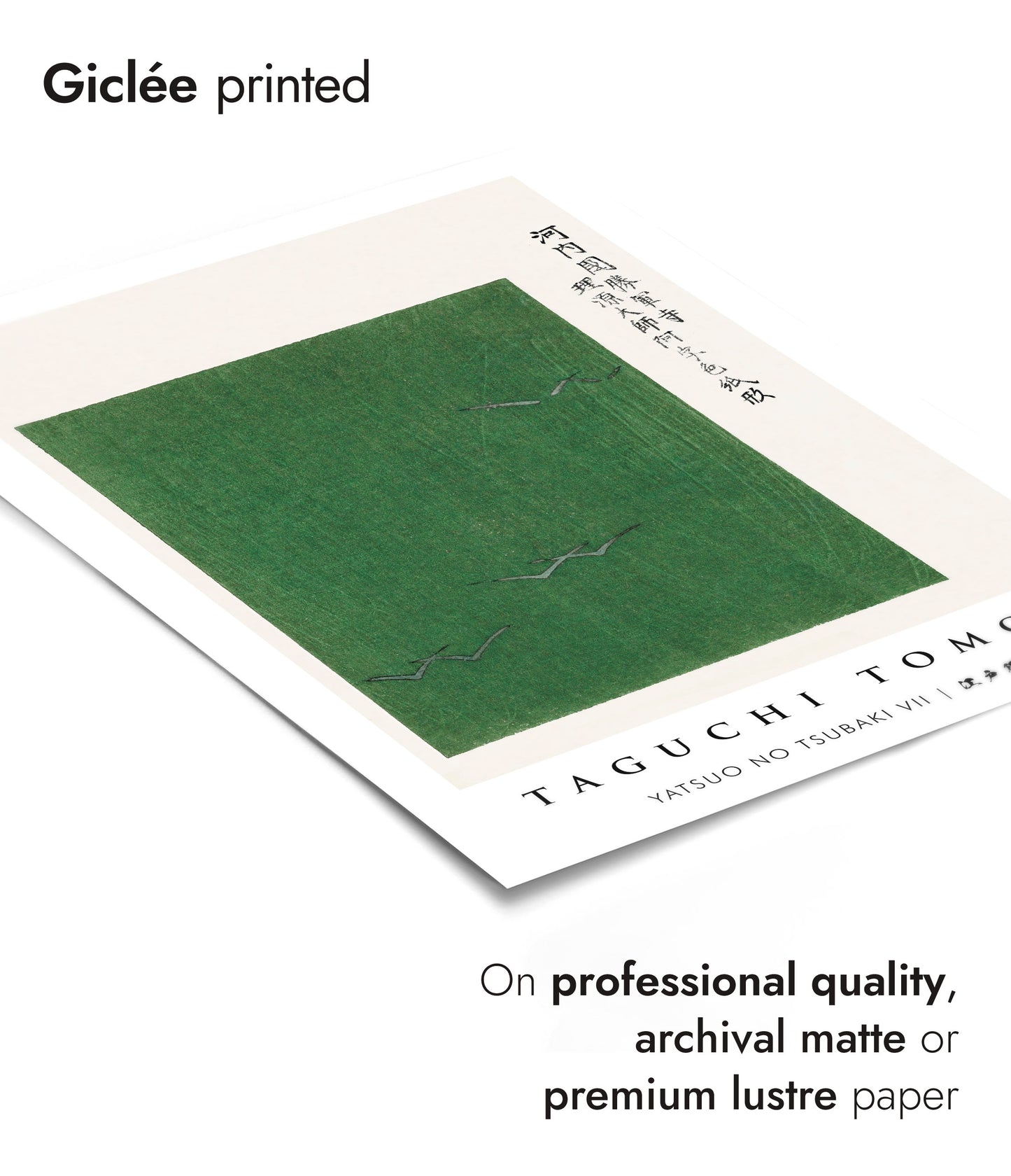 Yatsuo no Tsubaki VII