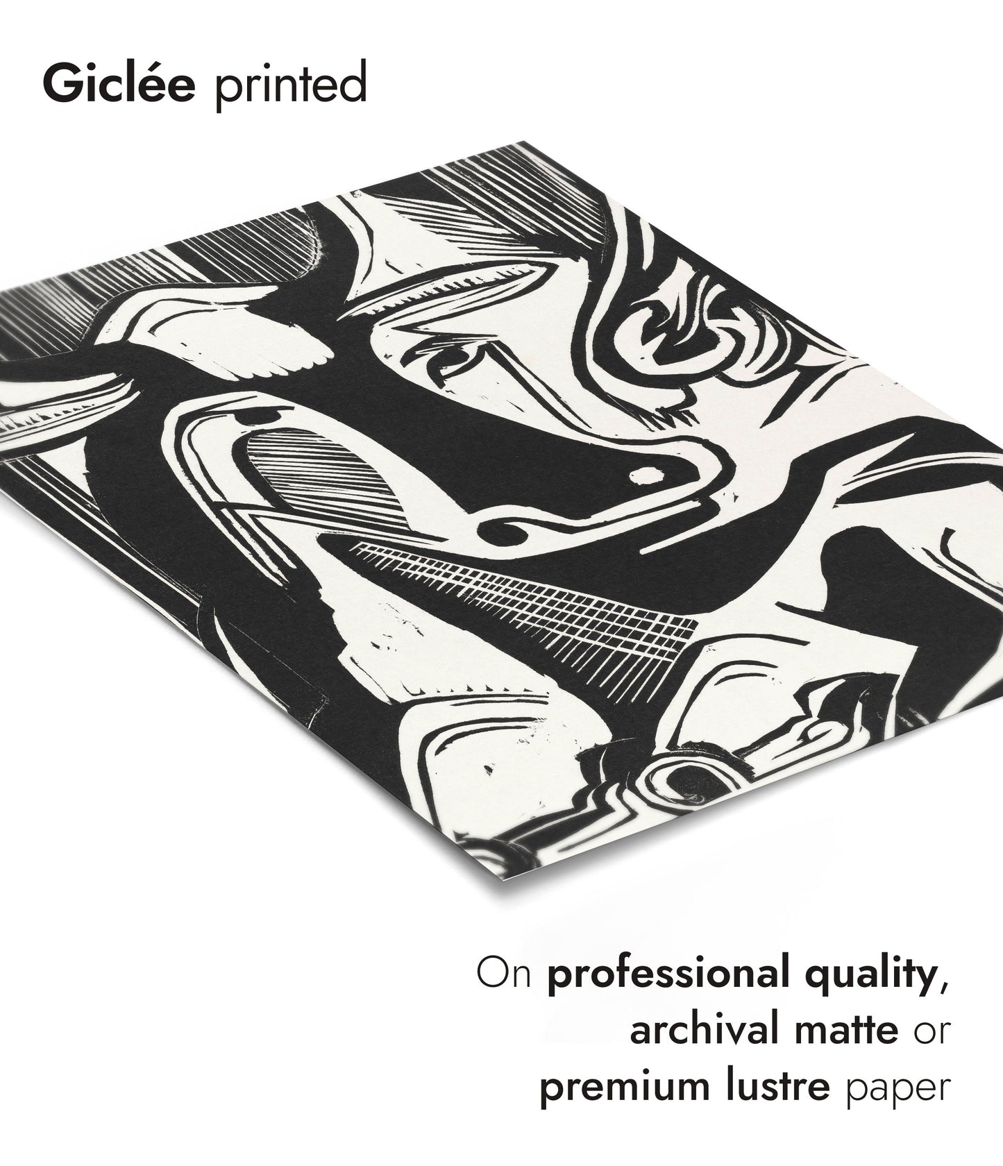 Large Cow Lying Down