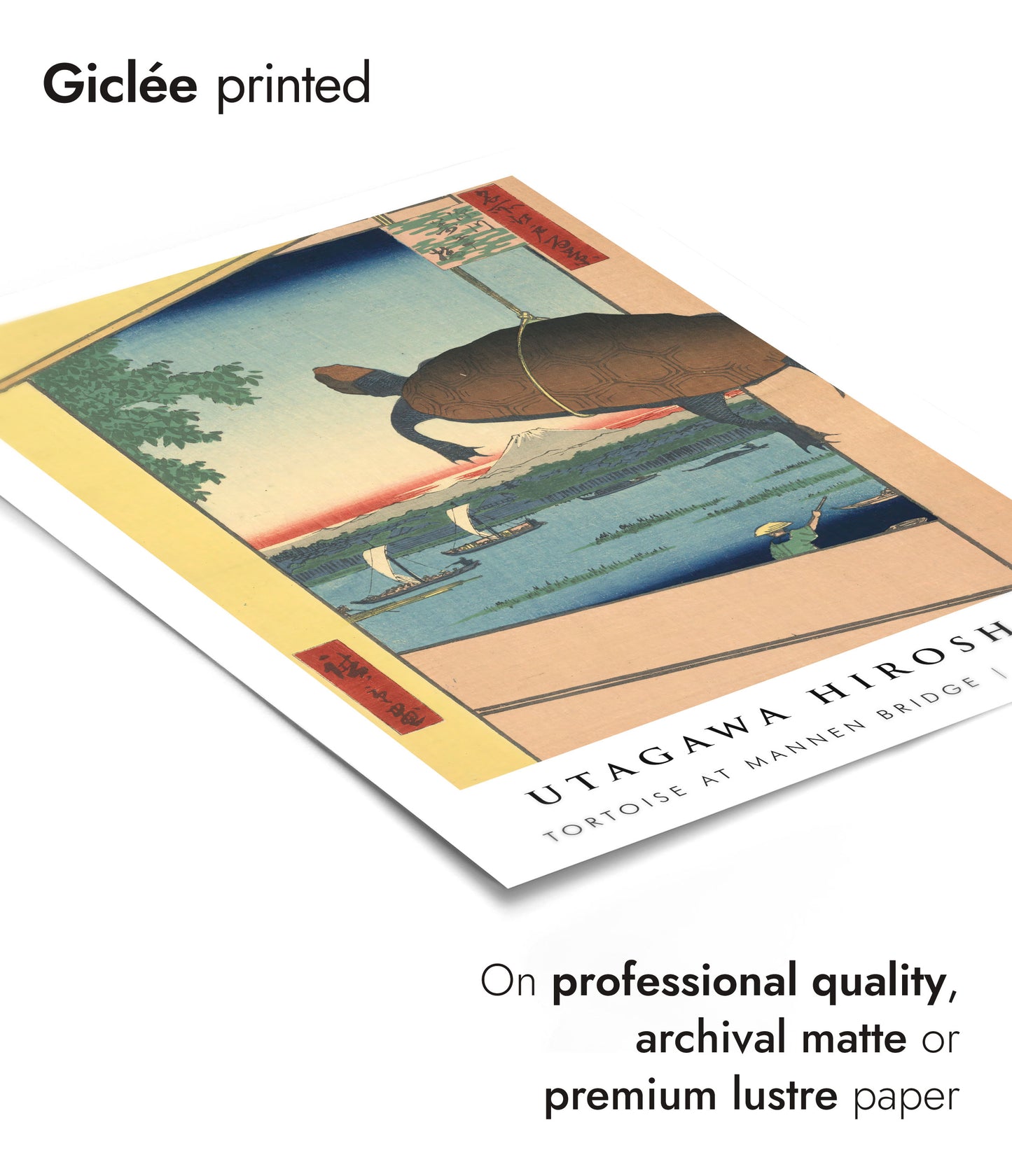 Schildkröte an der Mannen-Brücke