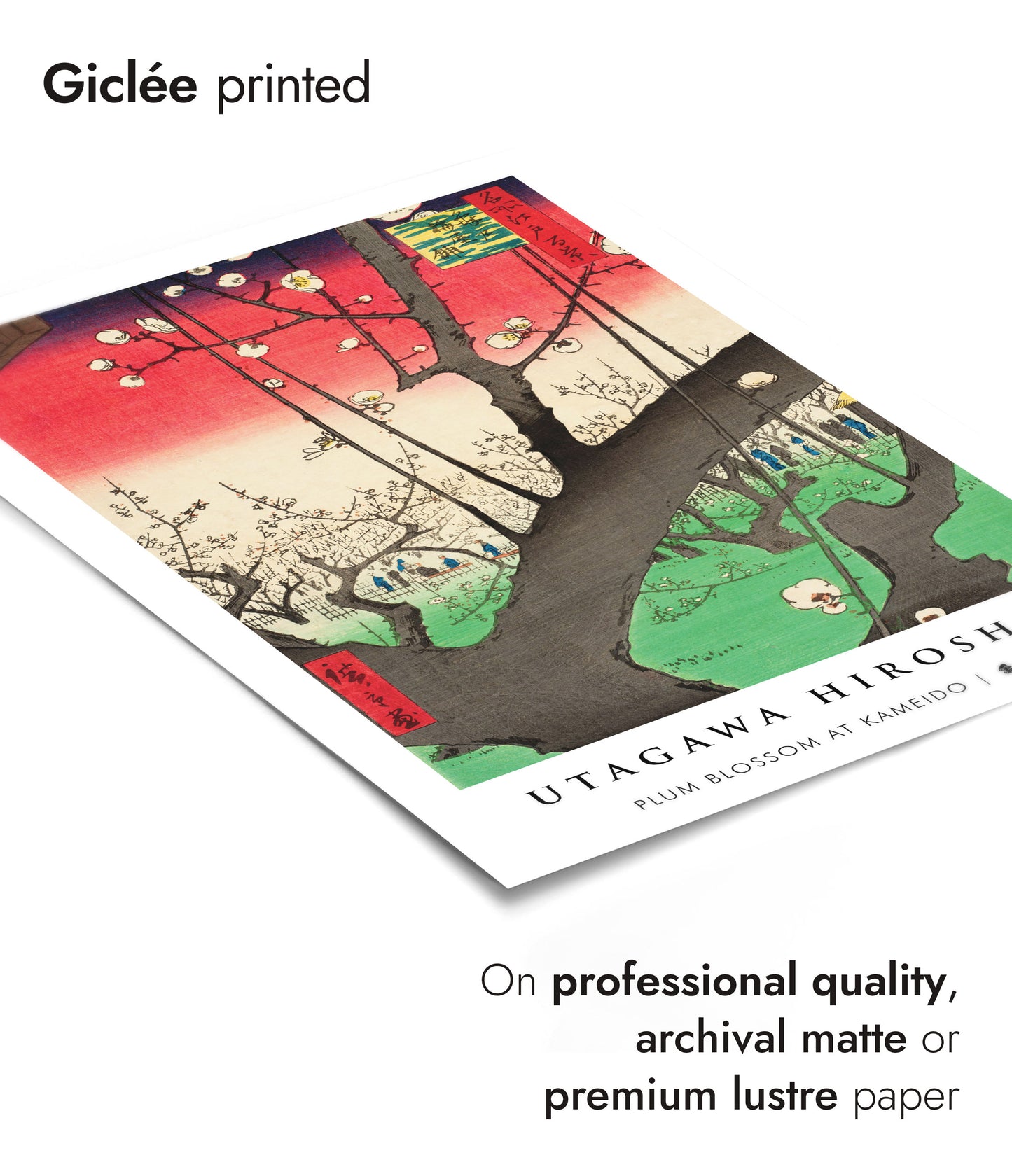 Pruimenbloesem bij Kameido