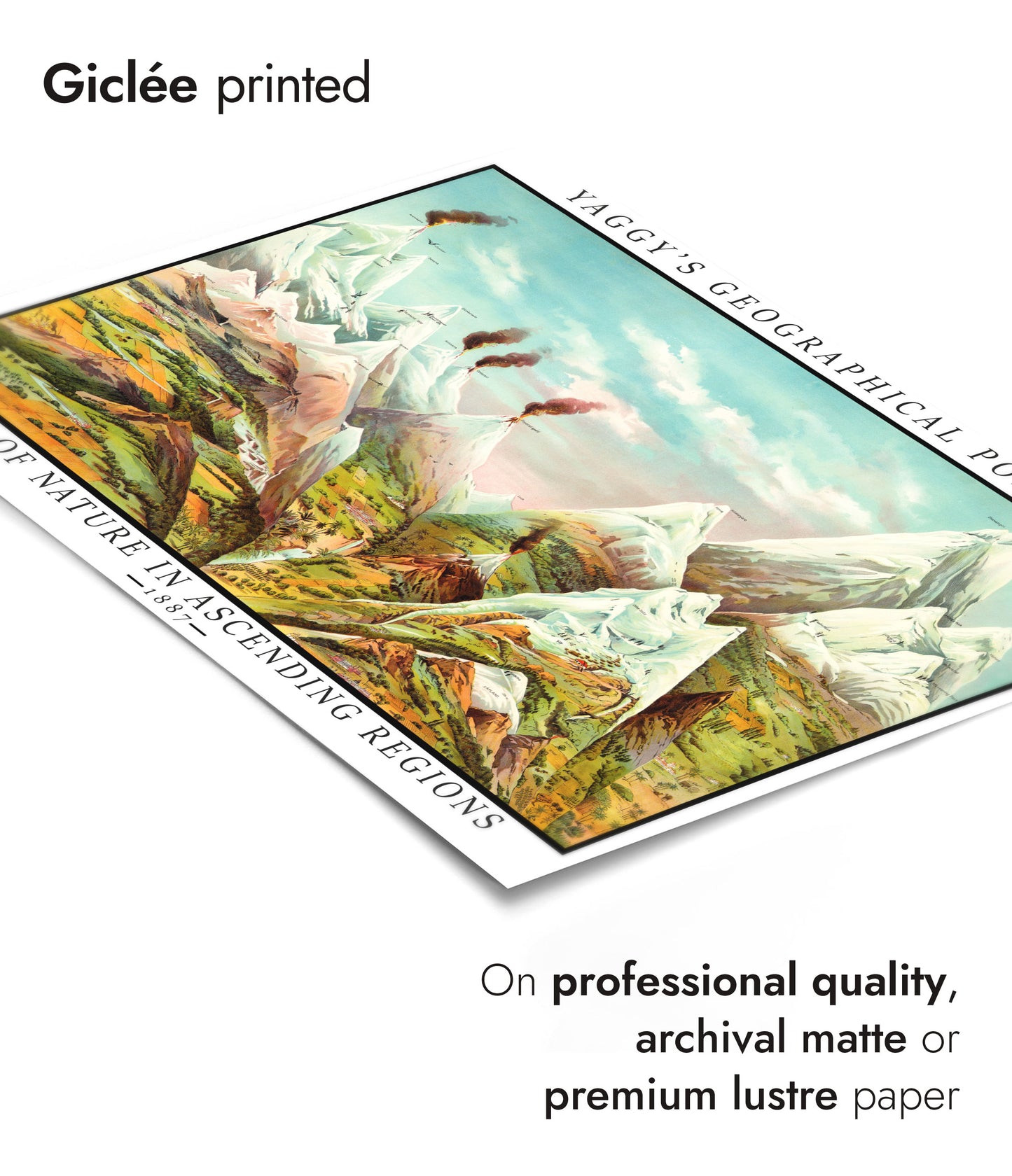 Natur in aufsteigenden Regionen