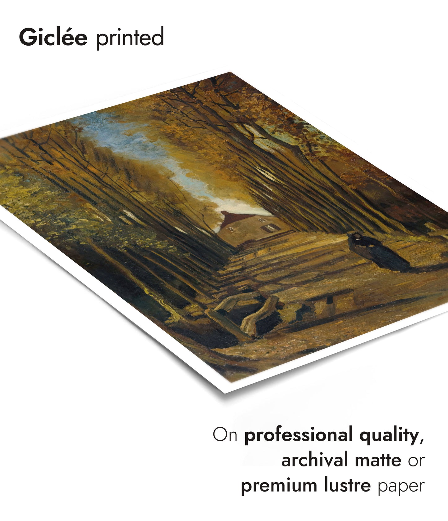 Avenue of Poplars in Autumn