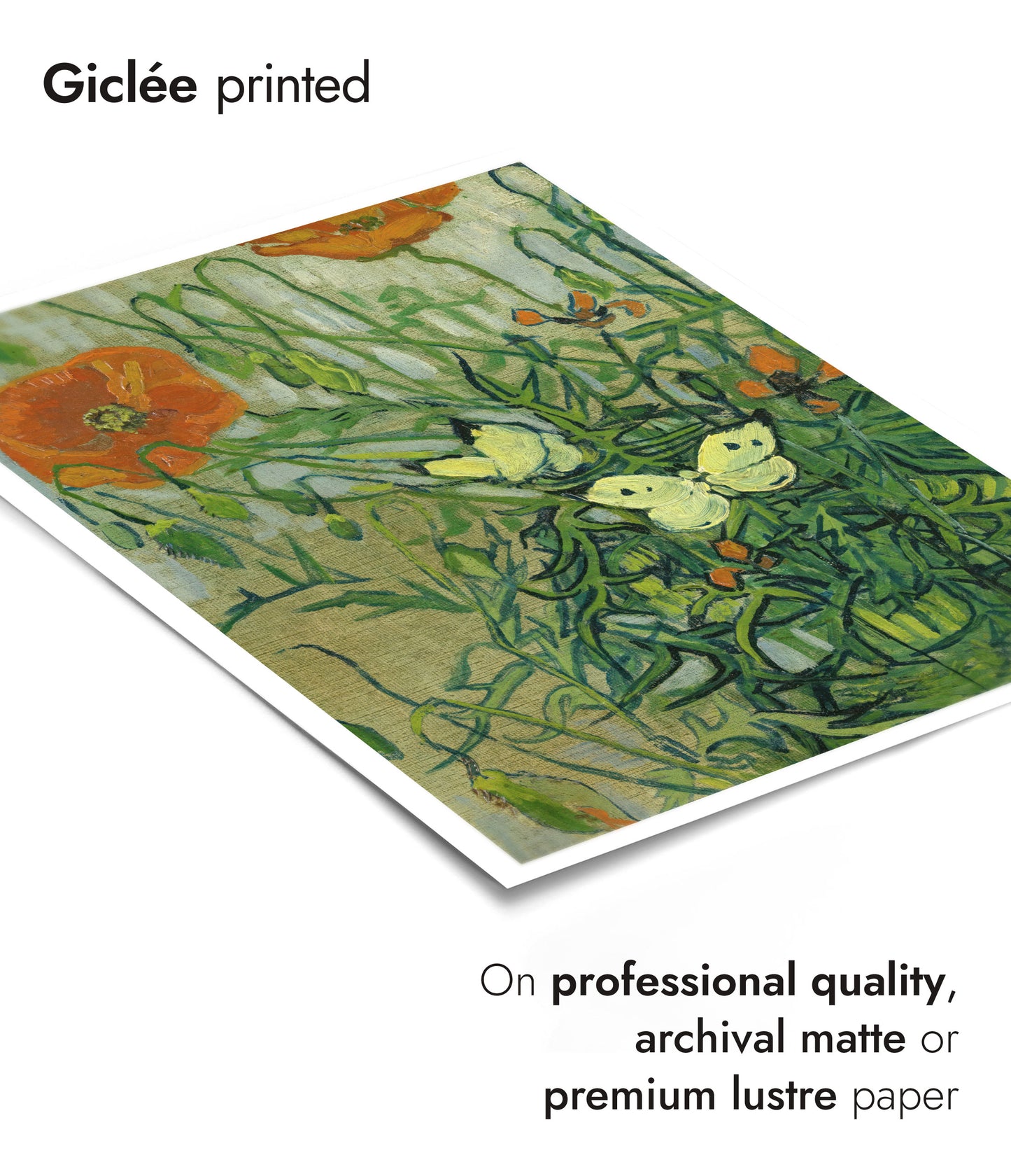 Vlinders en Klaprozen