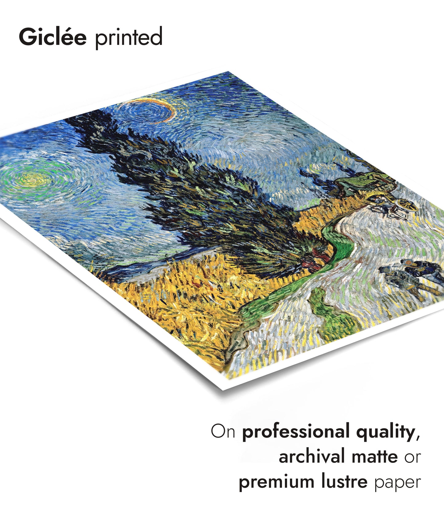 Country Road in Provence by Night