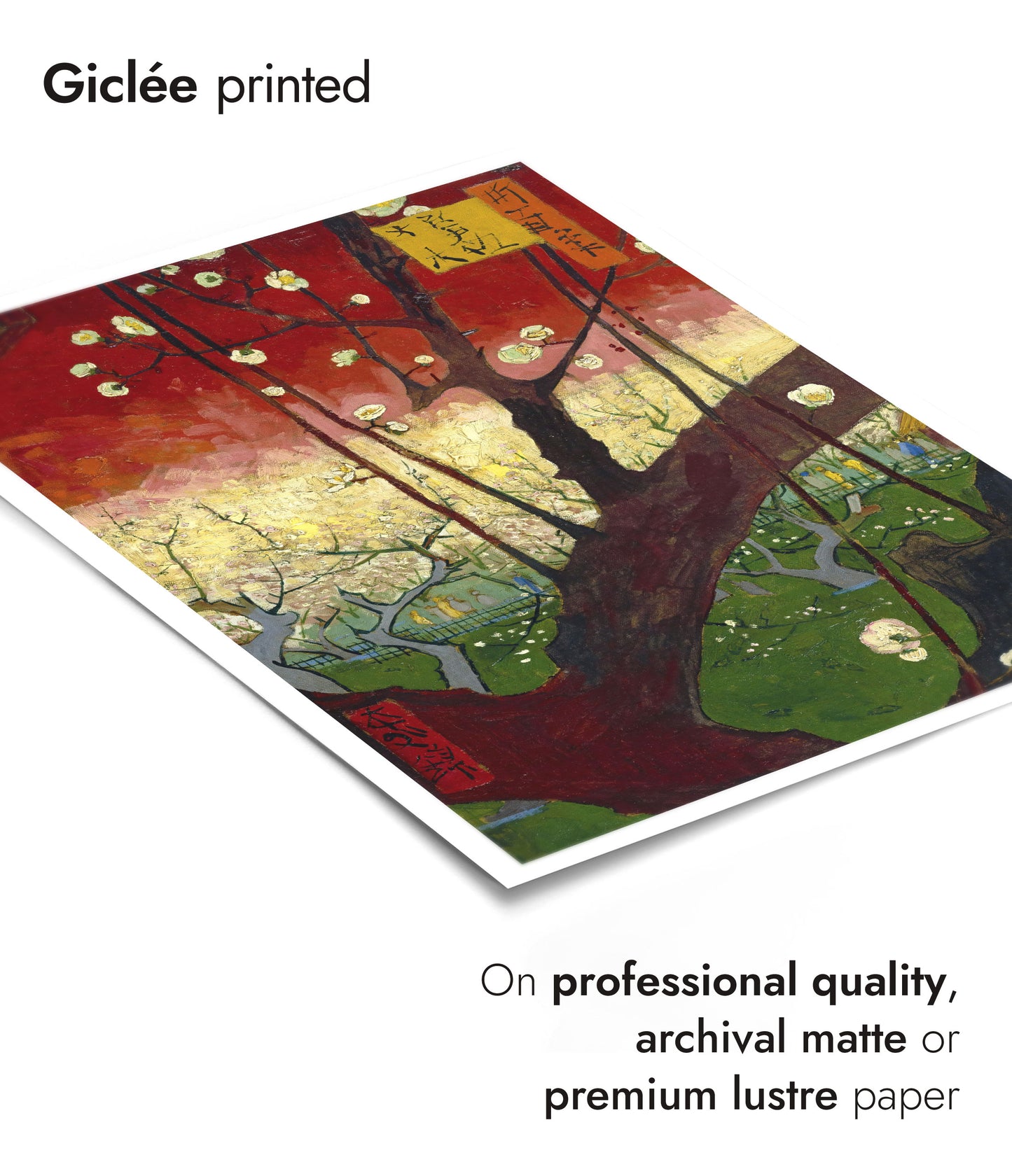 Flowering Plum Orchard