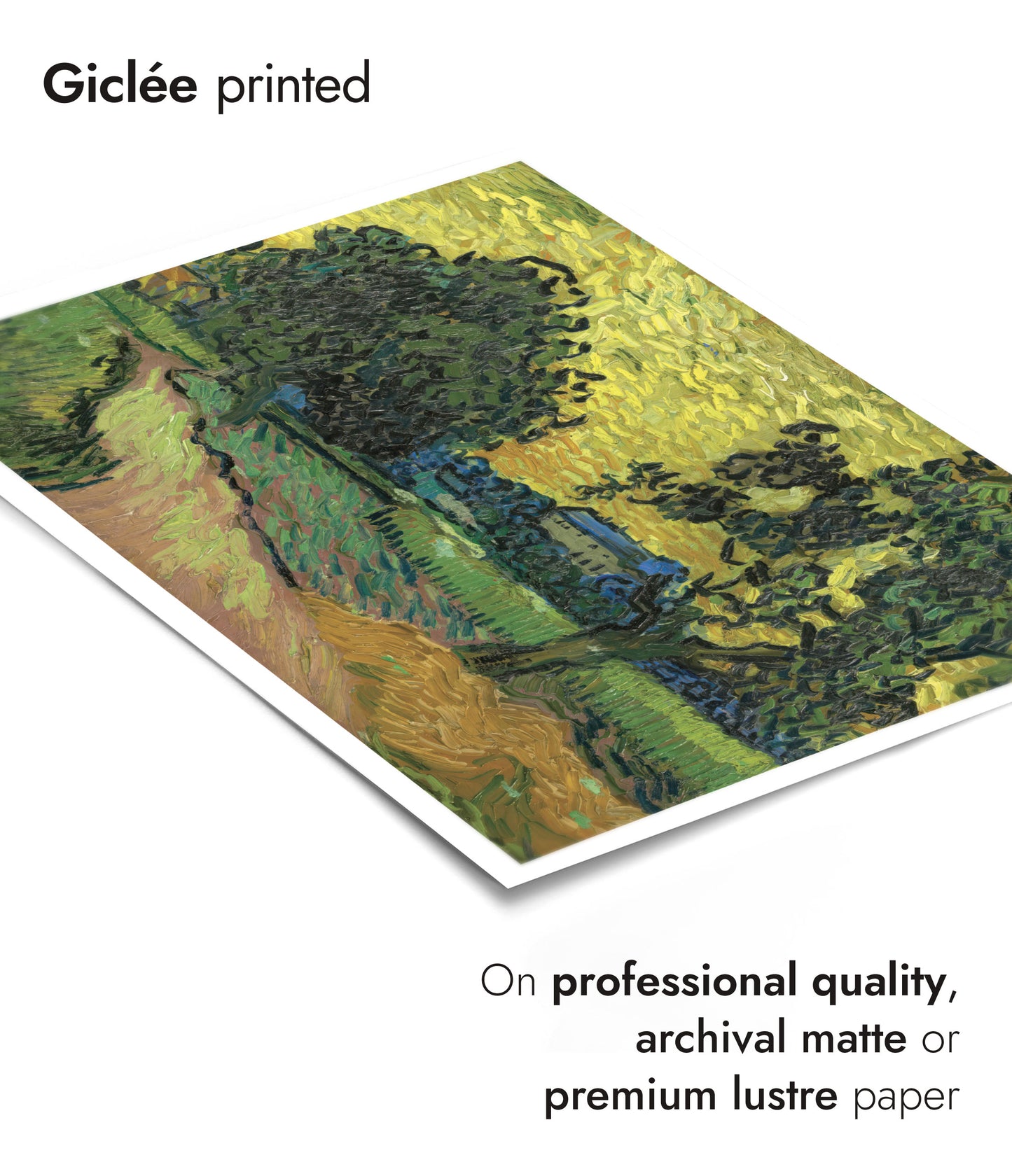 Landscape at Twilight