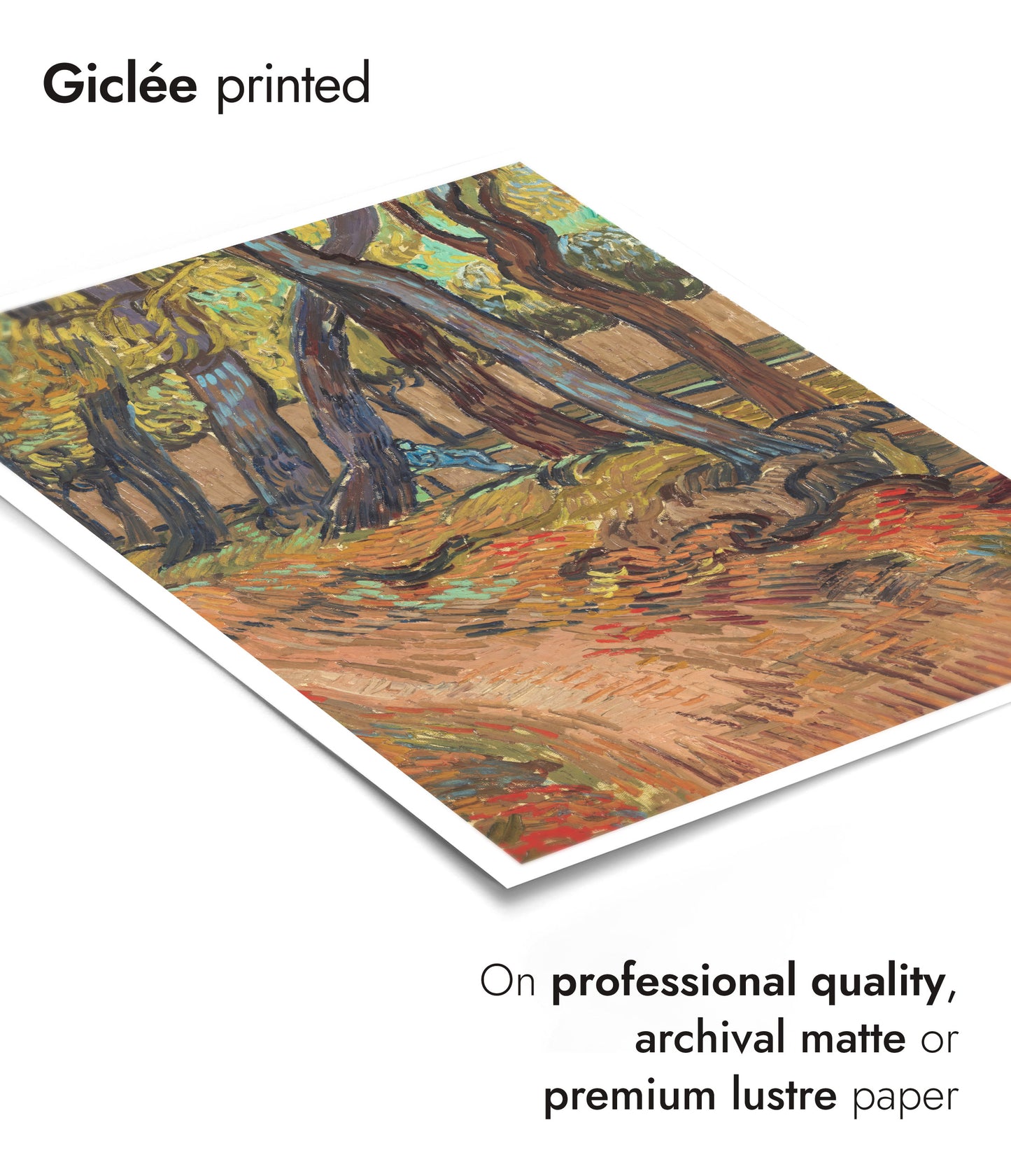 Path in the Garden of the Asylum