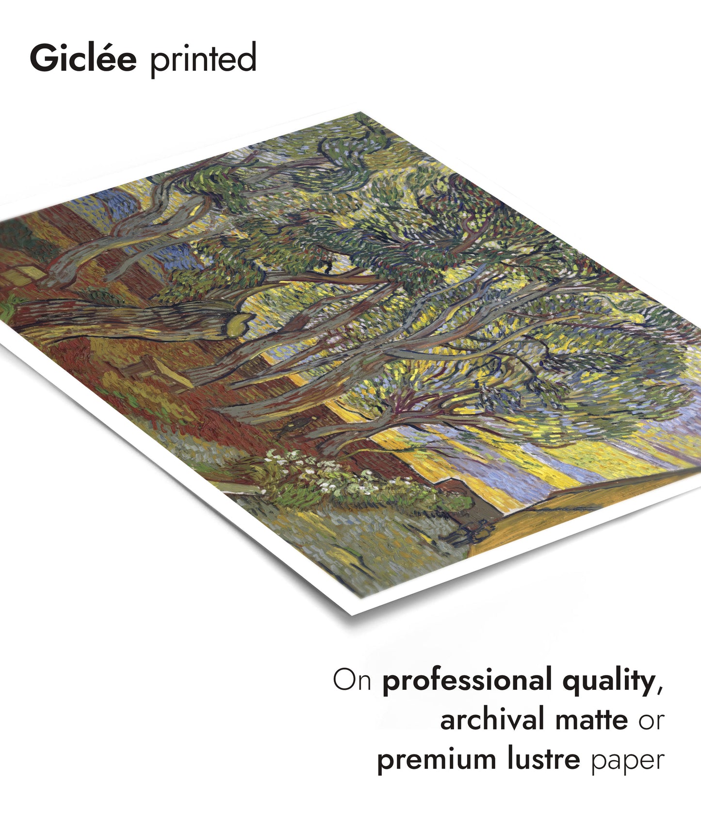 De Tuin van het Gesticht