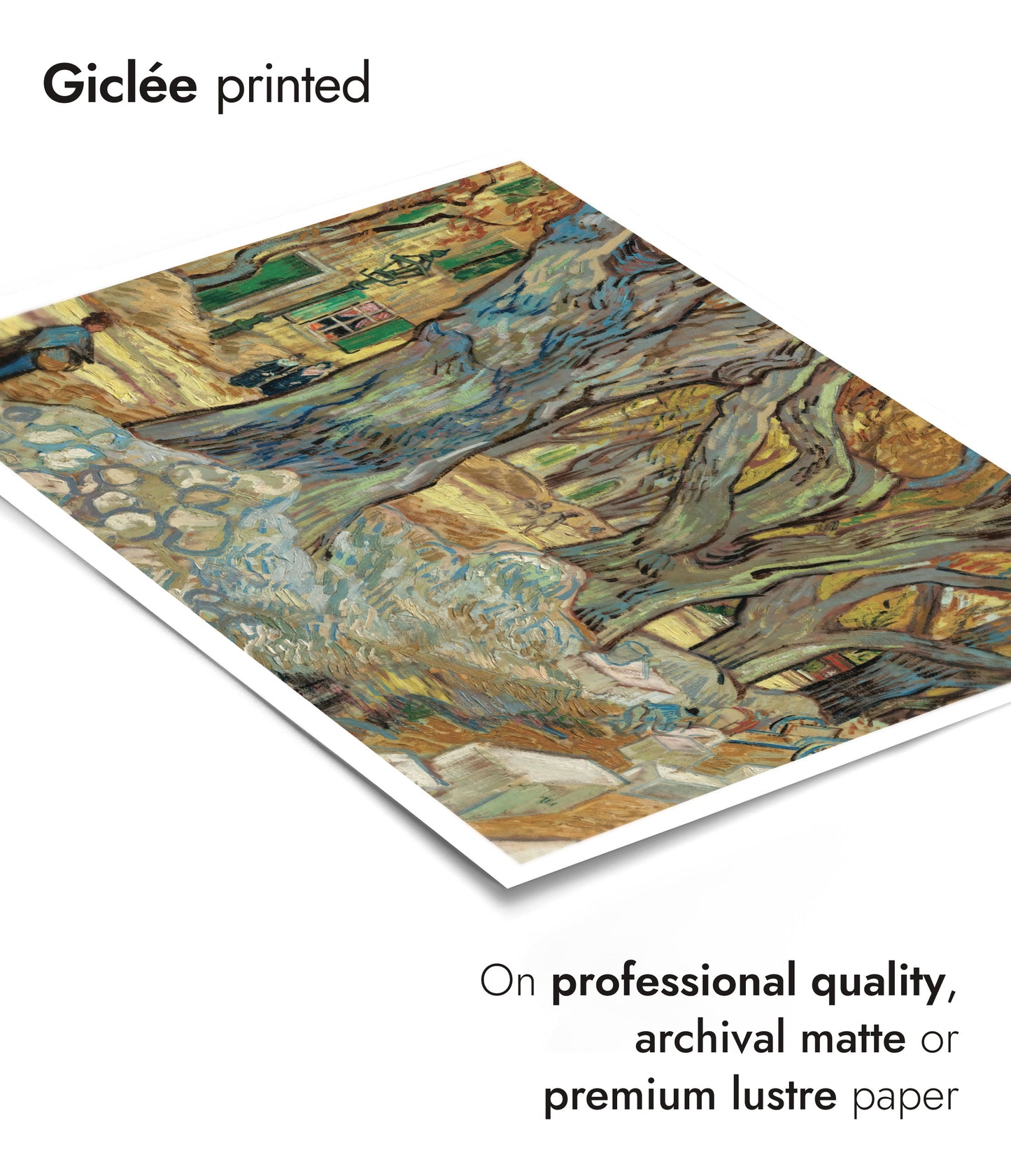 The Large Plane Trees