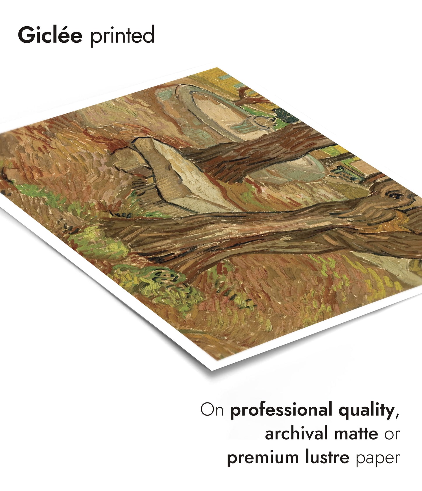 Le Banc de Pierre dans l'Asile