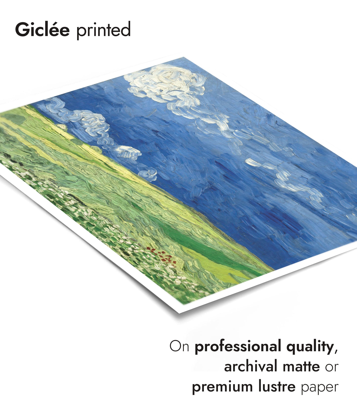 Wheatfield under Thunderclouds