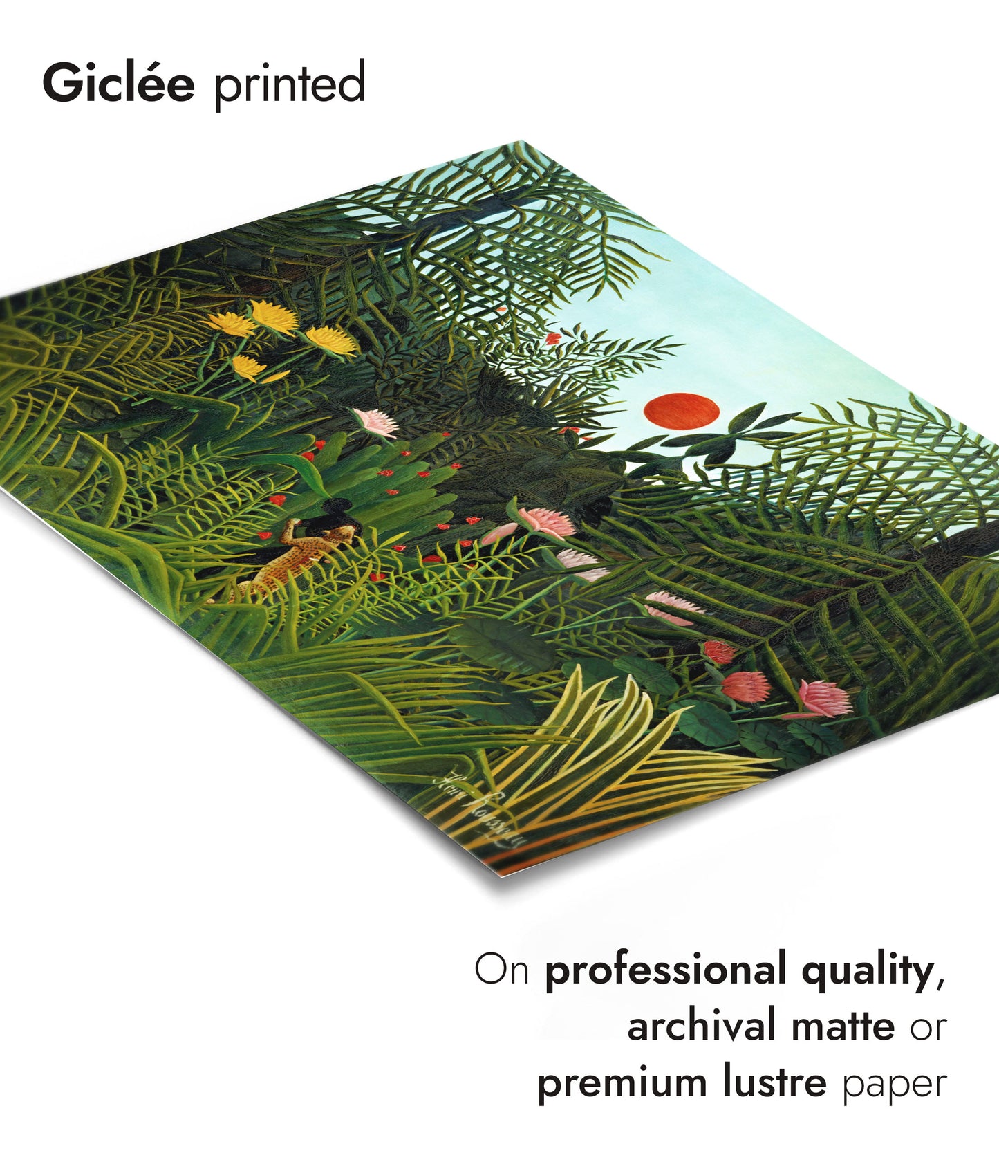 Jungfrulig skog med solnedgång