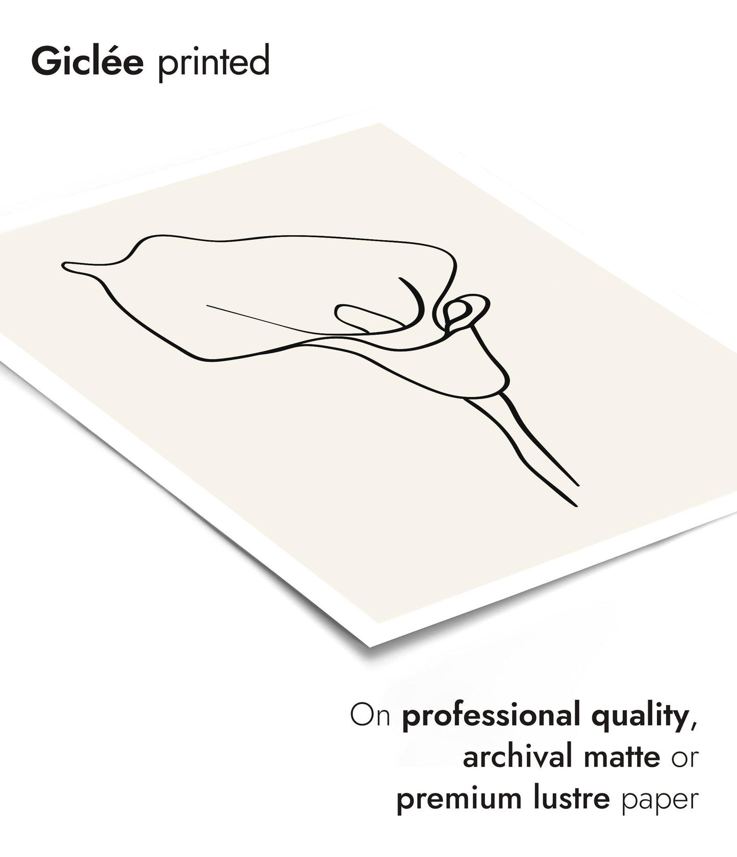 Flüstern der Blütenblätter