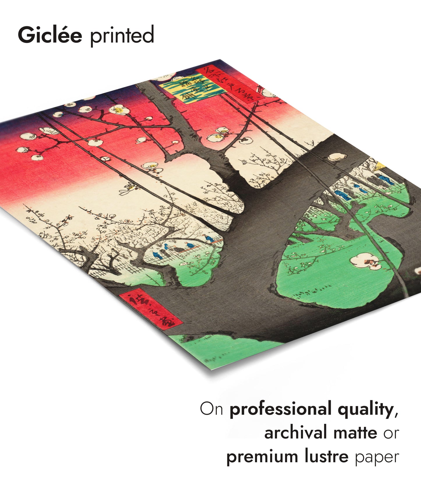 The Plum Blossom Garden at Kameido