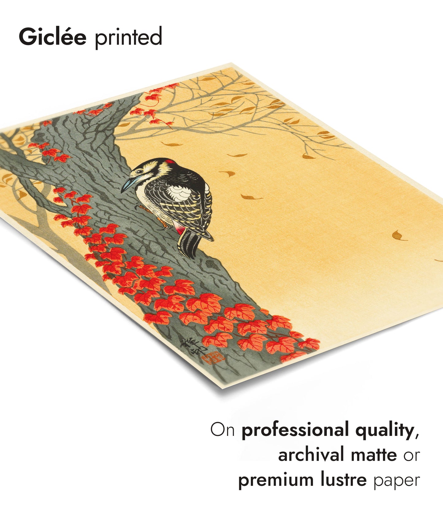 Great Spotted Woodpecker