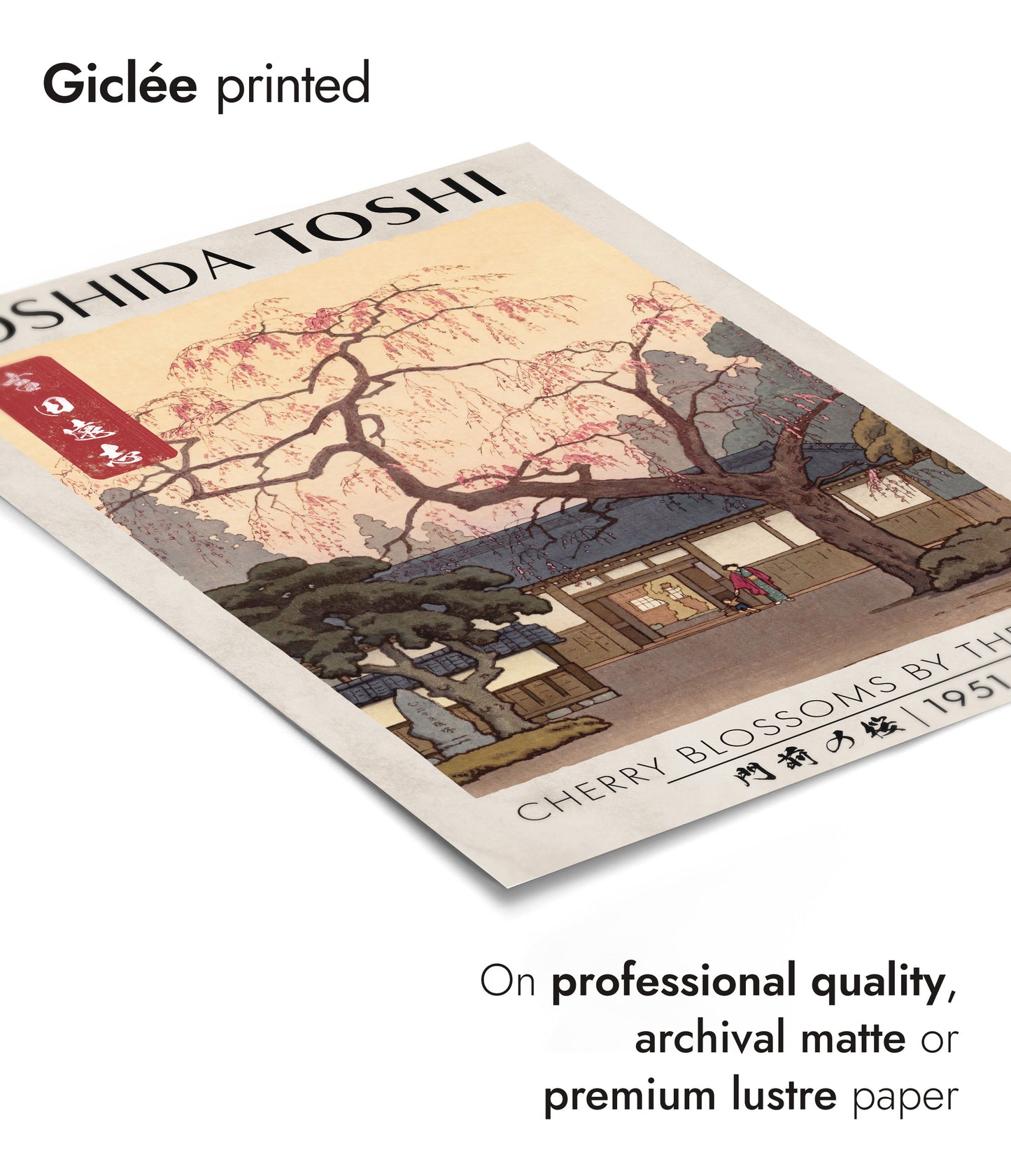 Fleurs de cerisier dans le jardin