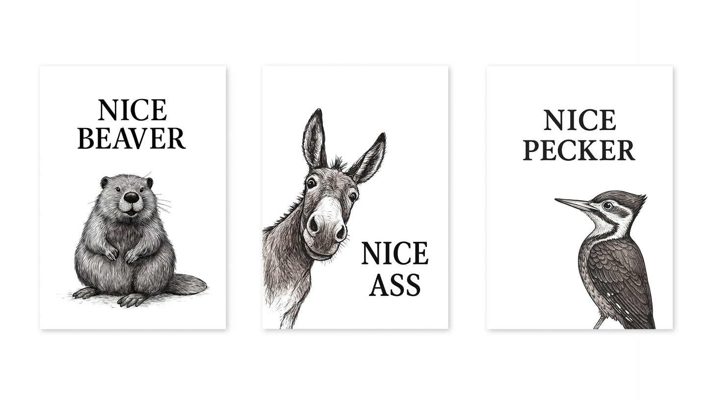 Collection d'animaux drôles