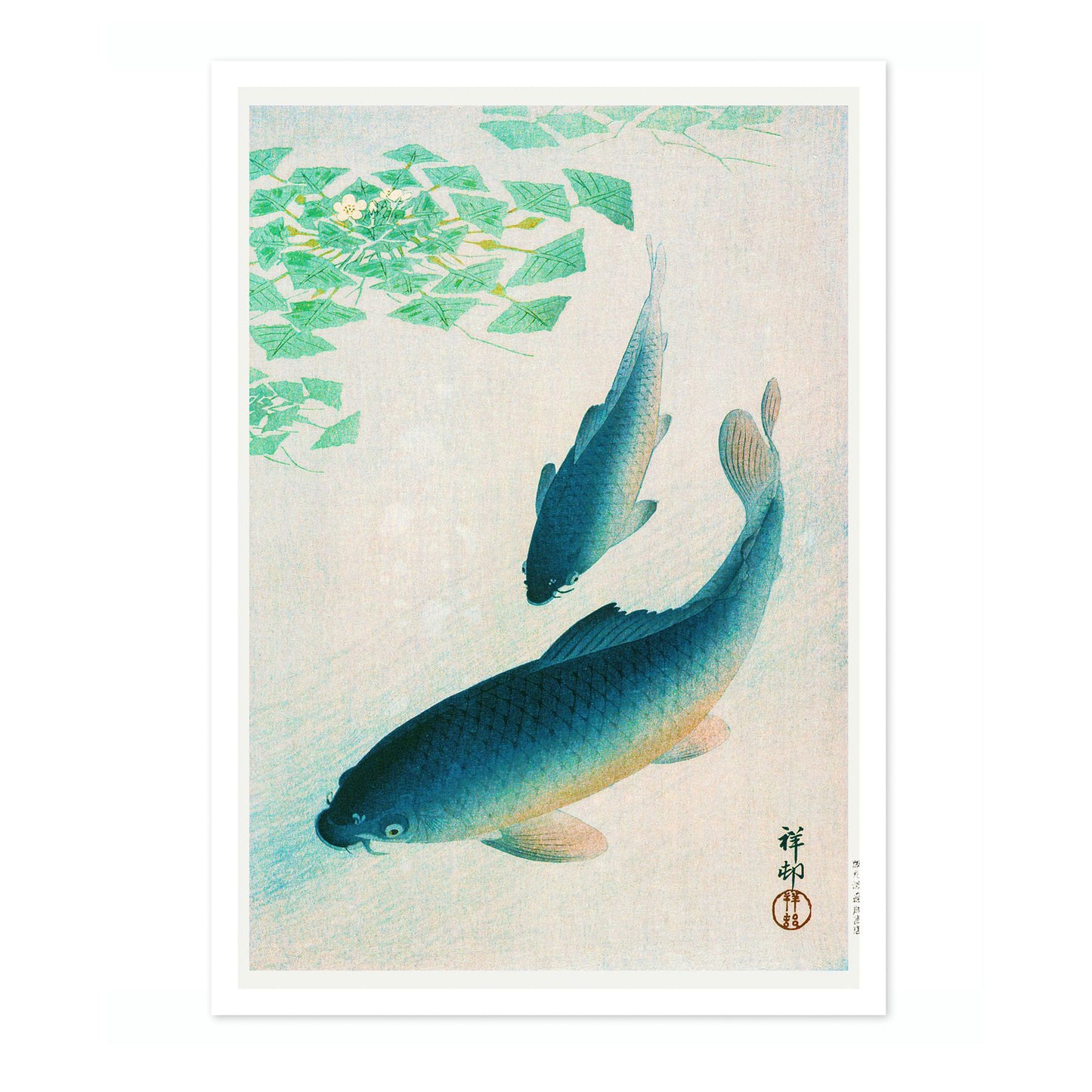 Blue Koi Fish