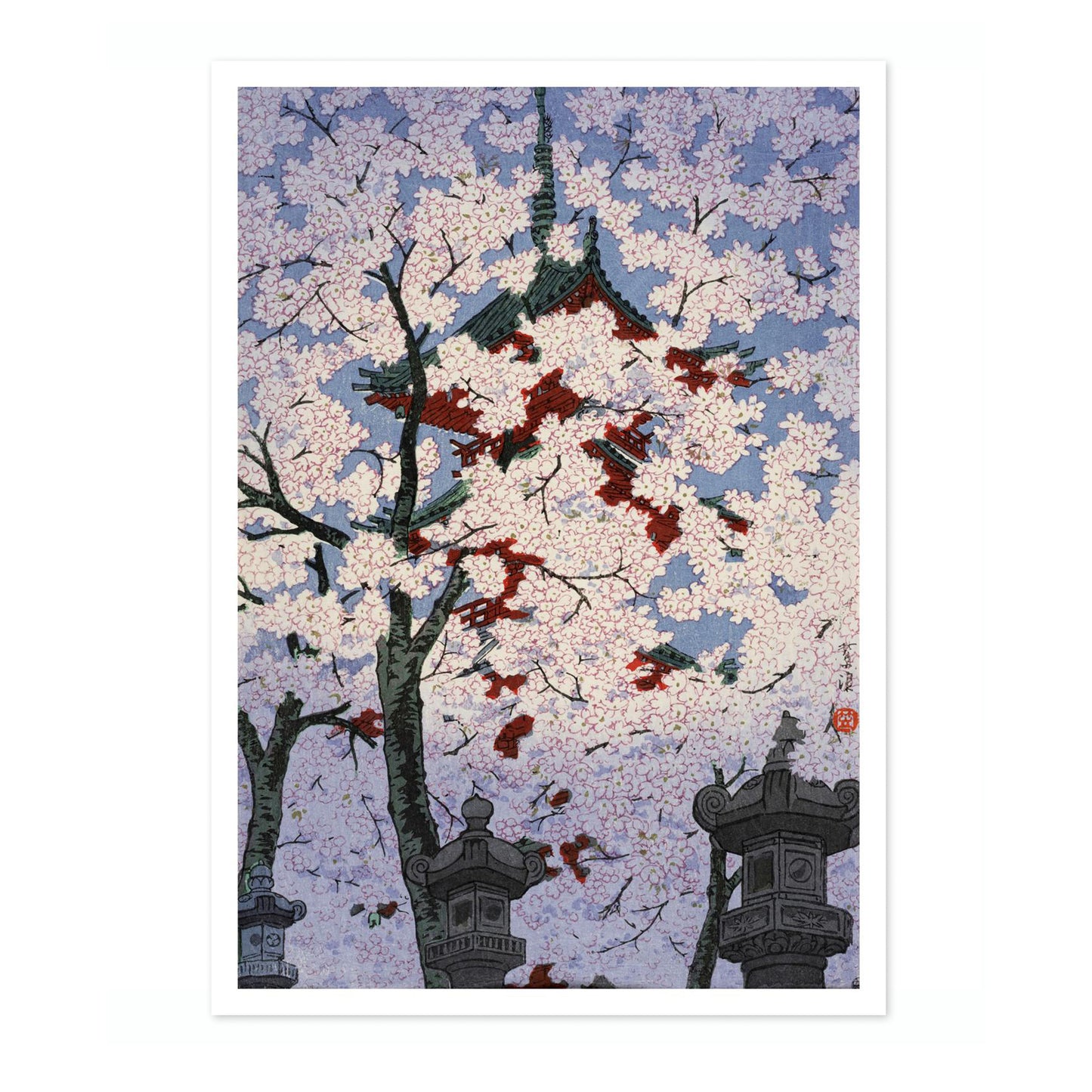 Körsbärsblommor i Ueno Toshogo