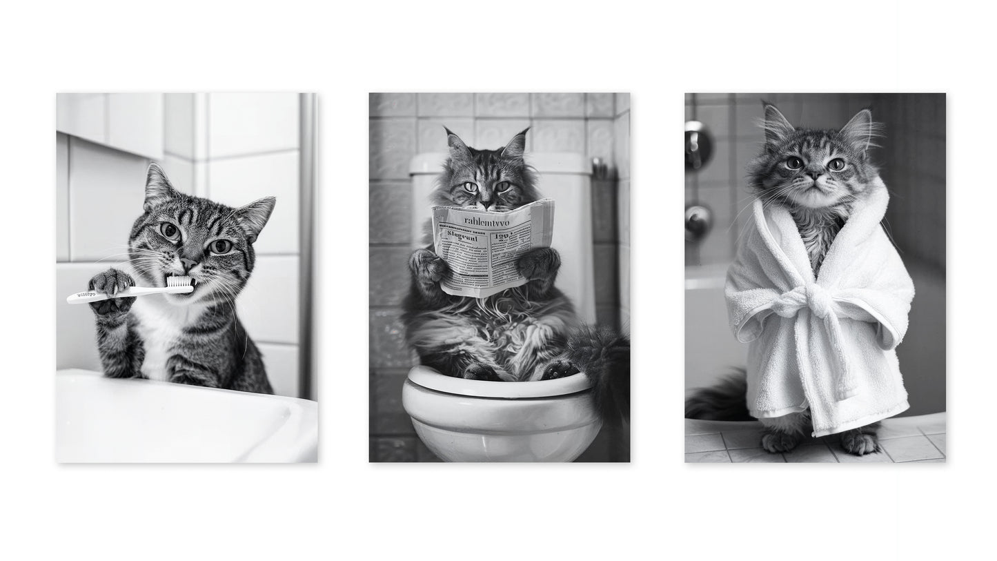 Badrum Katter Fotografi Trio