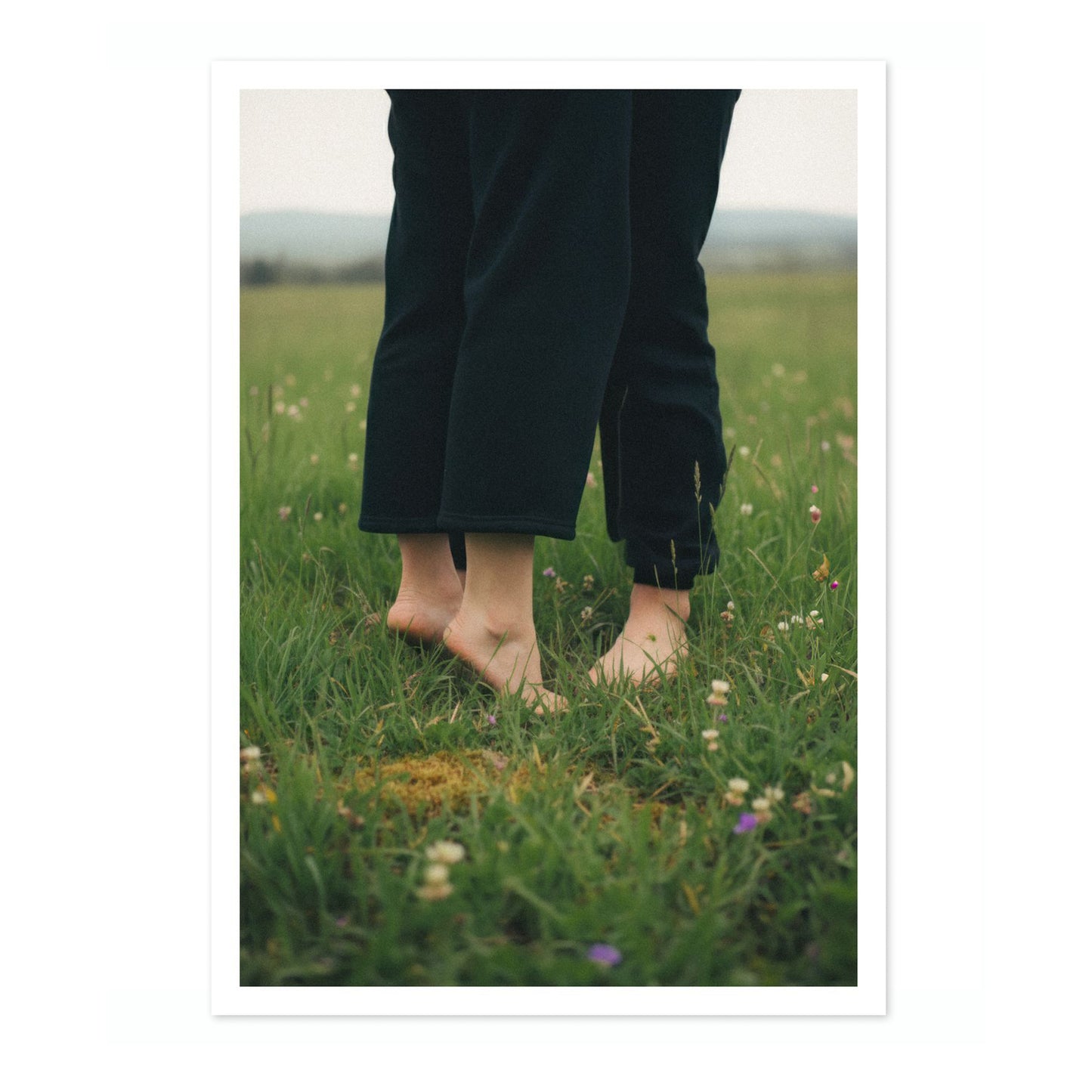 Meet Me in the Fields