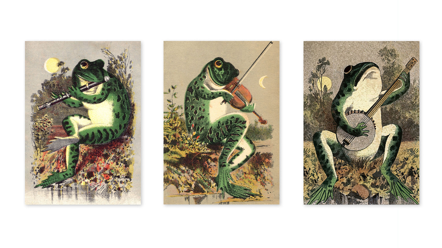 Kikkers in het moeras