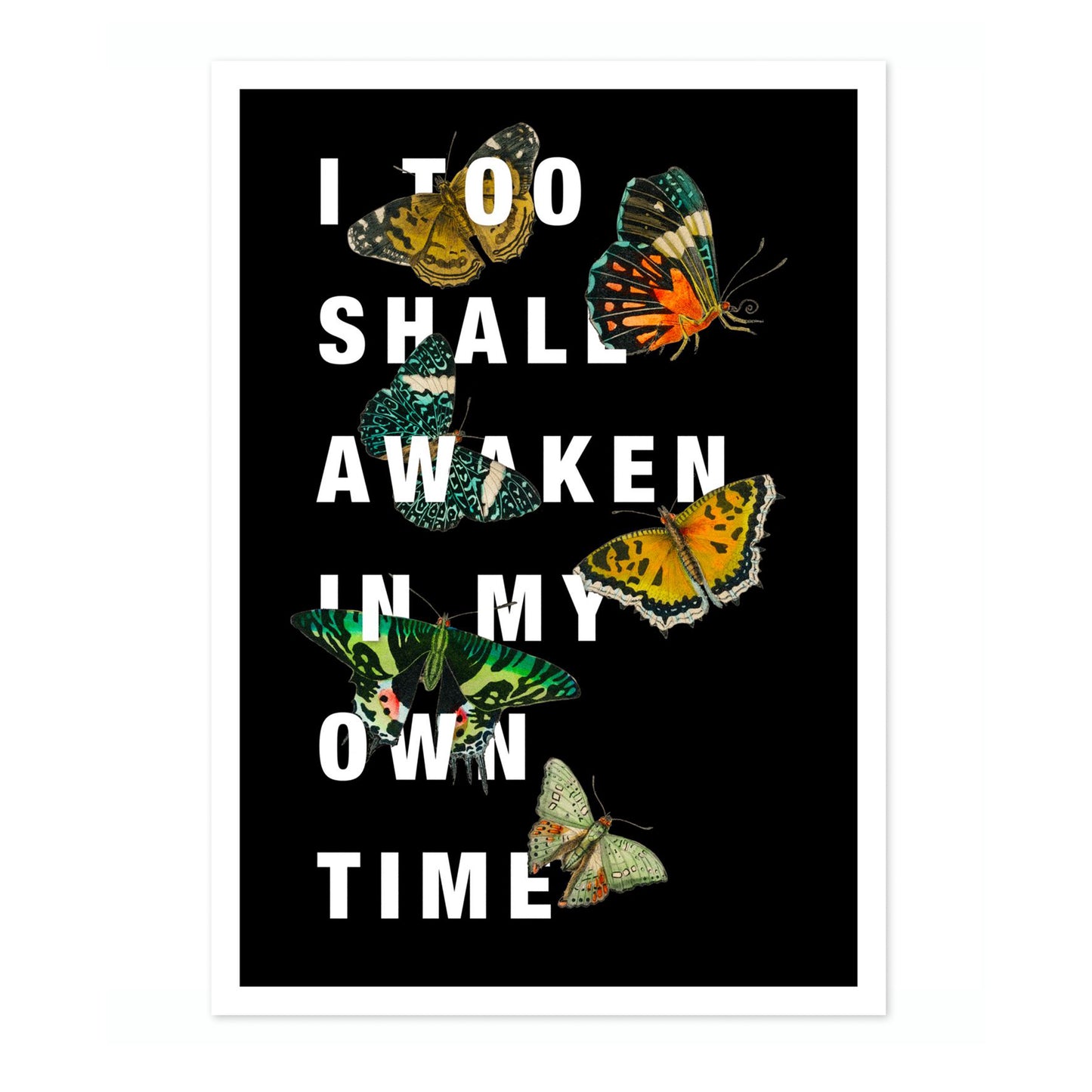 Jag ska också vakna