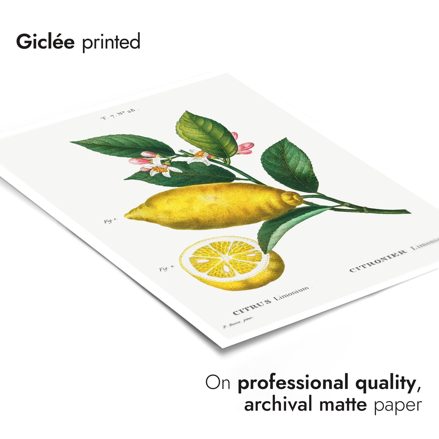 En förstorad citron