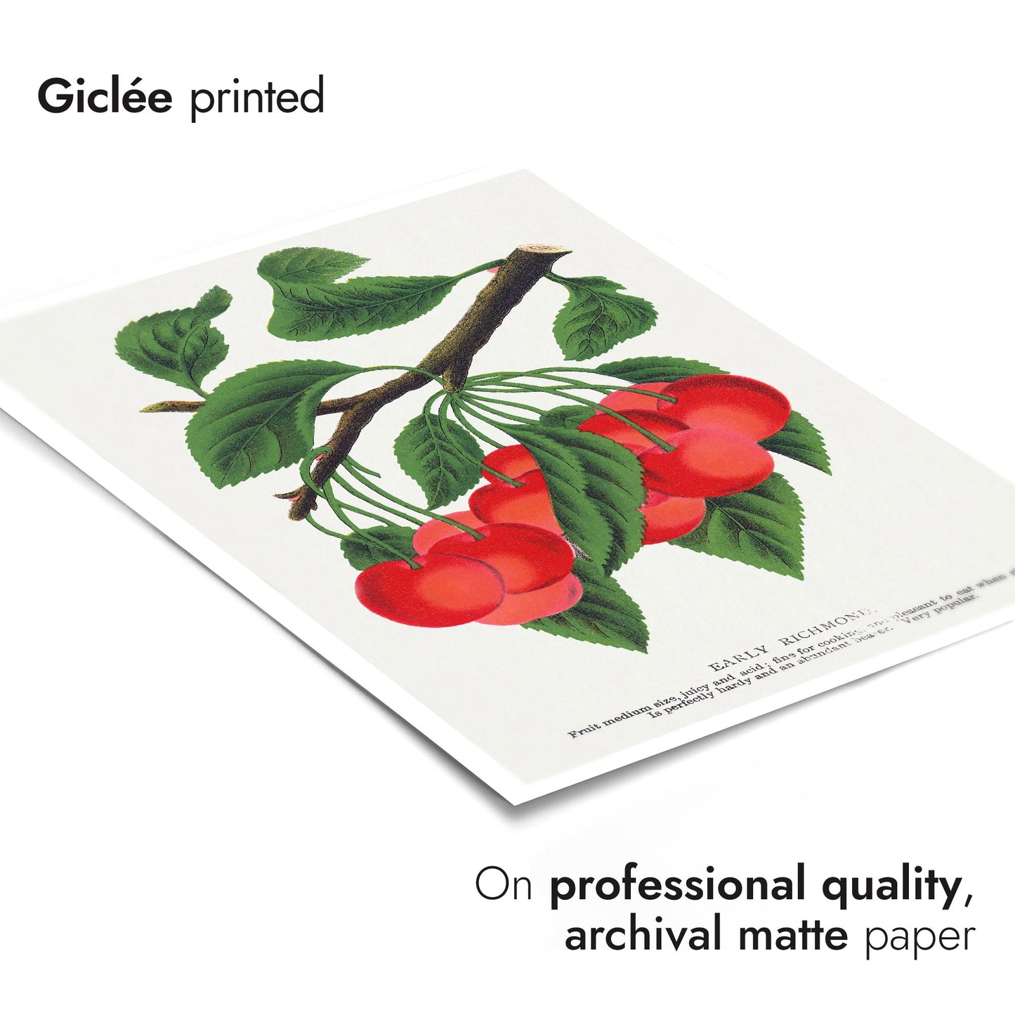 Vroege Richmond-kers