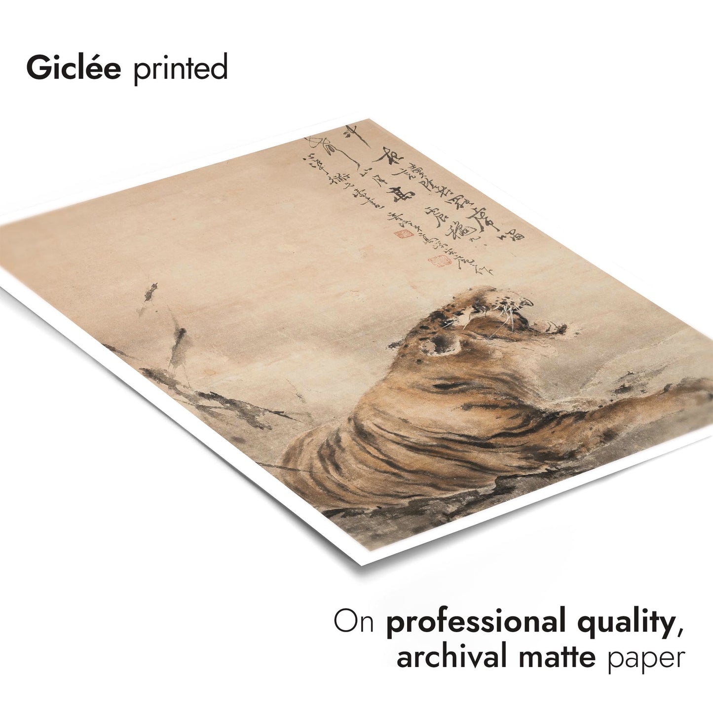 The Roar of the Night