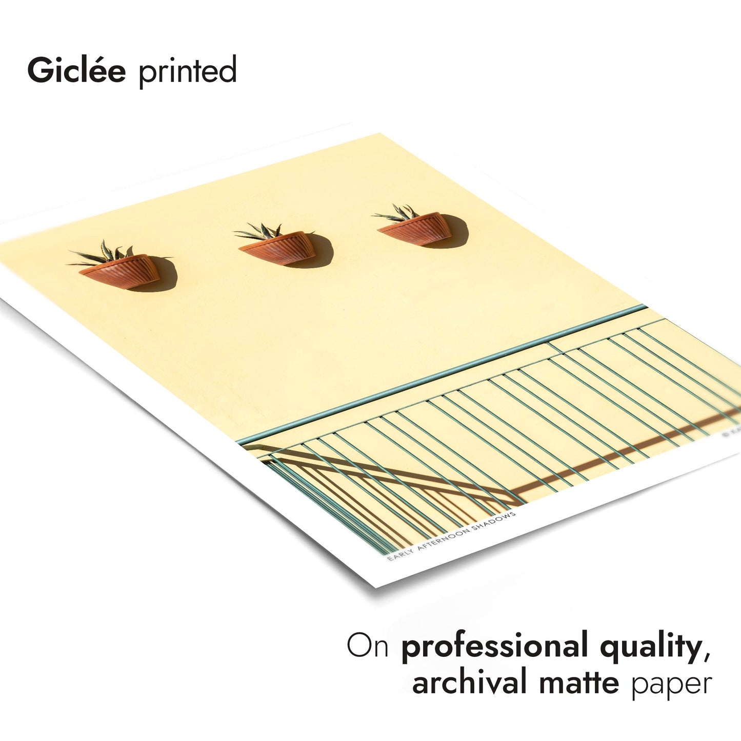 Early Afternoon Shadows