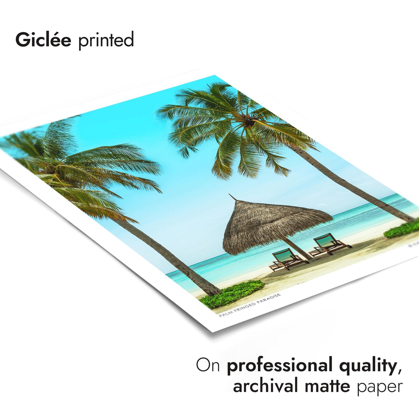 Palm Fringed Paradise