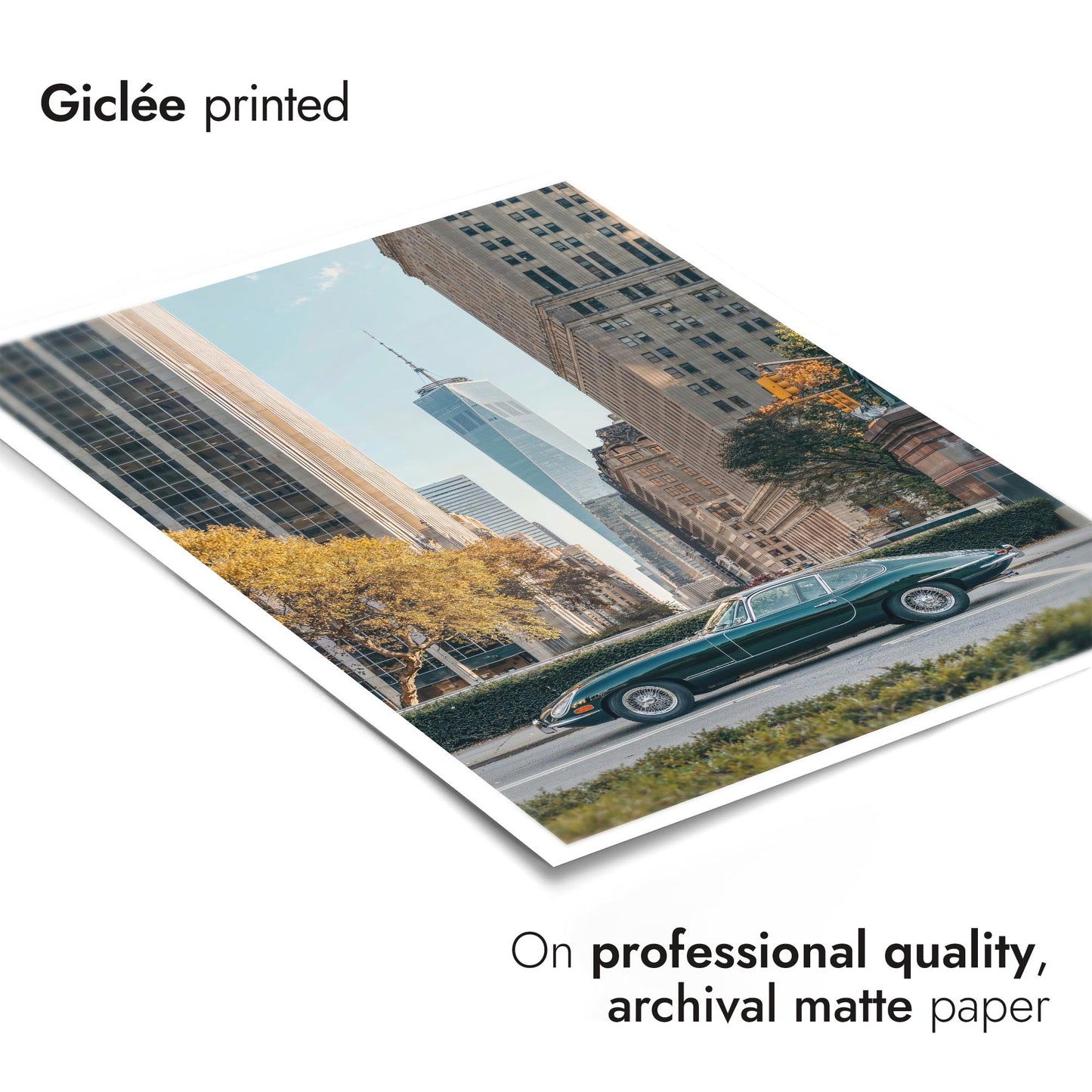 Jaguar i stora äpplet