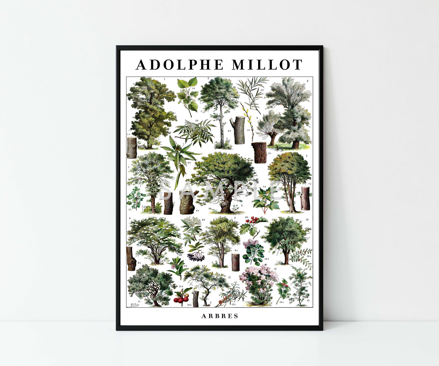 Adolphe Millot Bäume - Set aus 3