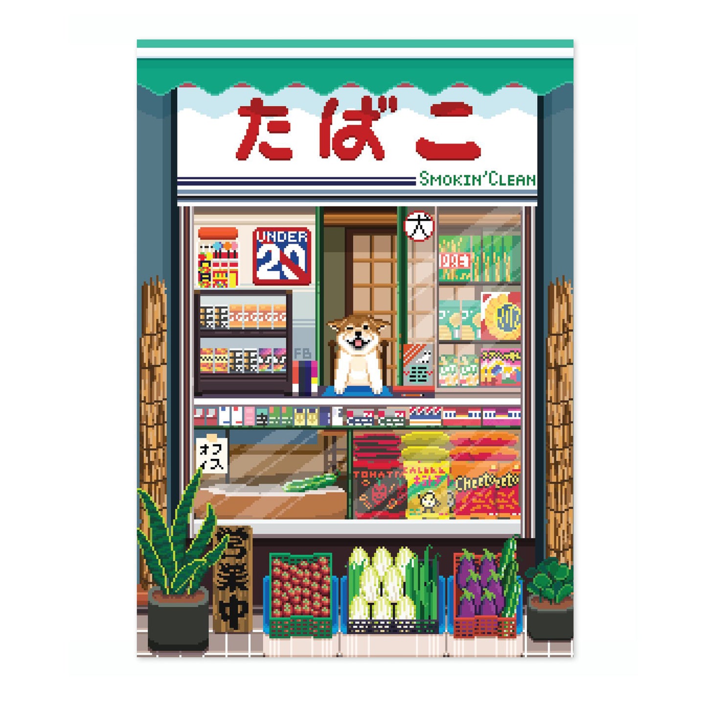 The Unusual Shopkeeper